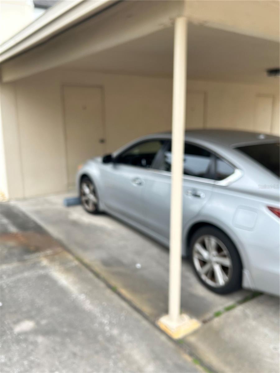 2462 KINGFISHER LN #J203, CLEARWATER, FL — photo 8