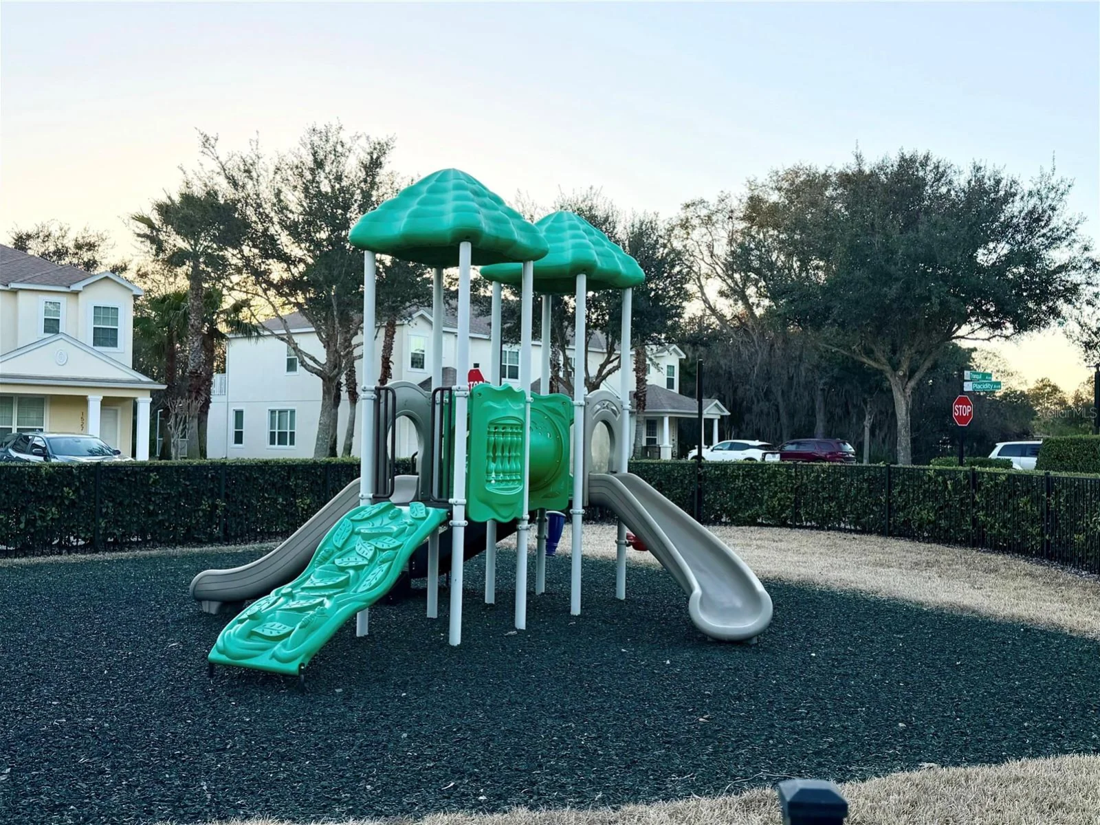 17407 PLACIDITY AVE, CLERMONT, FL — photo 52
