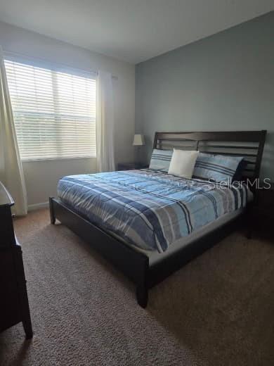 8923 CUBAN PALM RD, KISSIMMEE, FL — photo 30