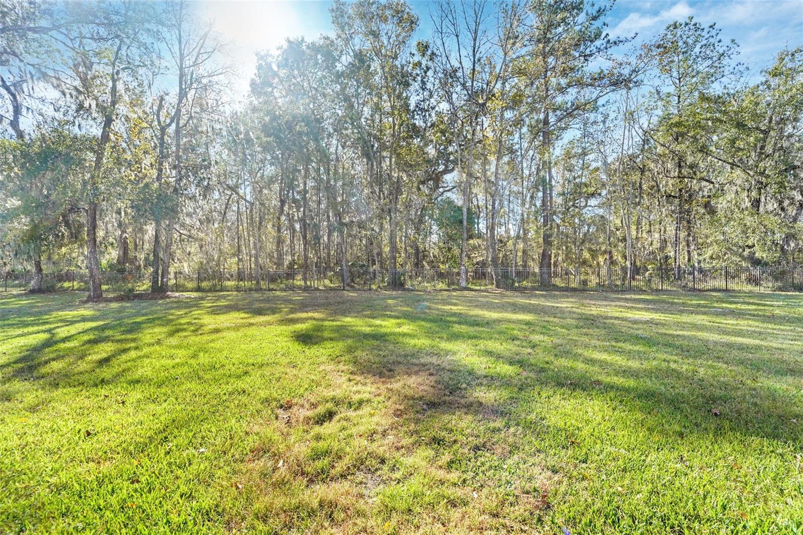 19546 MOSSY OAK CT, BROOKSVILLE, FL — photo 35