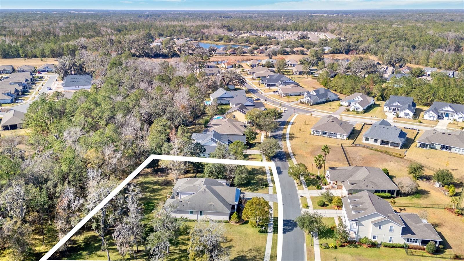 19546 MOSSY OAK CT, BROOKSVILLE, FL — photo 41