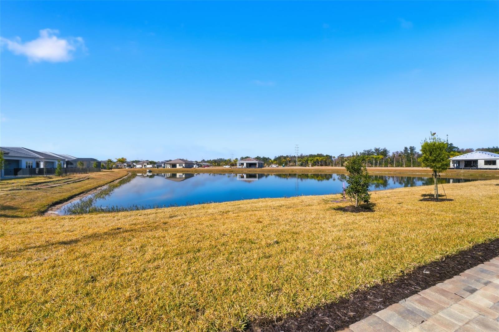 32623 NEROLI ST, WESLEY CHAPEL, FL — photo 29