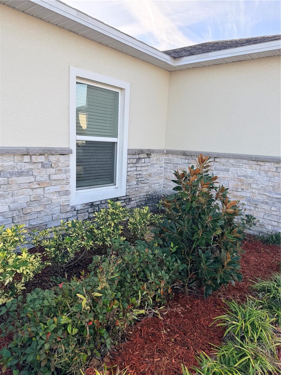 4209 BEARGRASS ST, CLERMONT, FL — photo 17