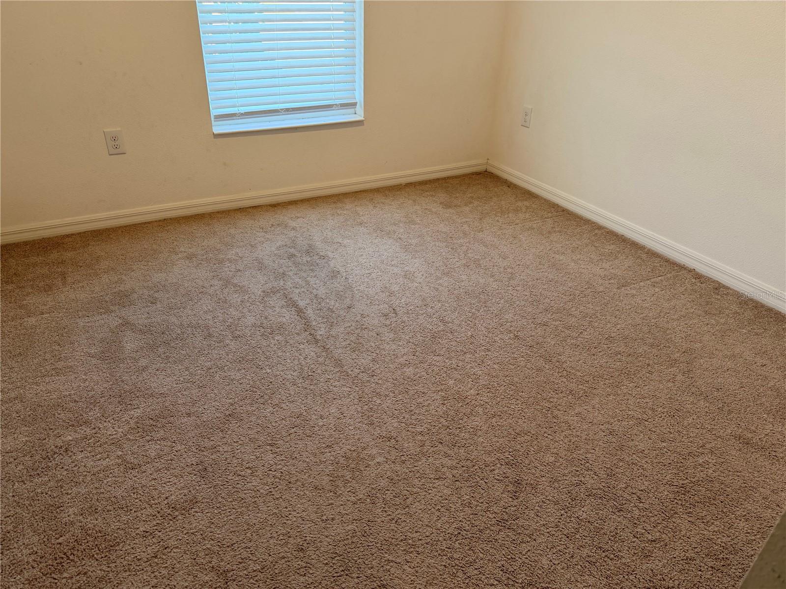 4209 BEARGRASS ST, CLERMONT, FL — photo 52