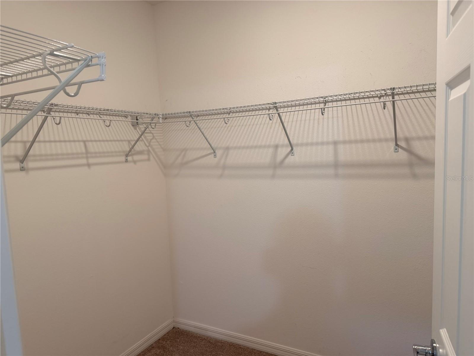 4209 BEARGRASS ST, CLERMONT, FL — photo 53