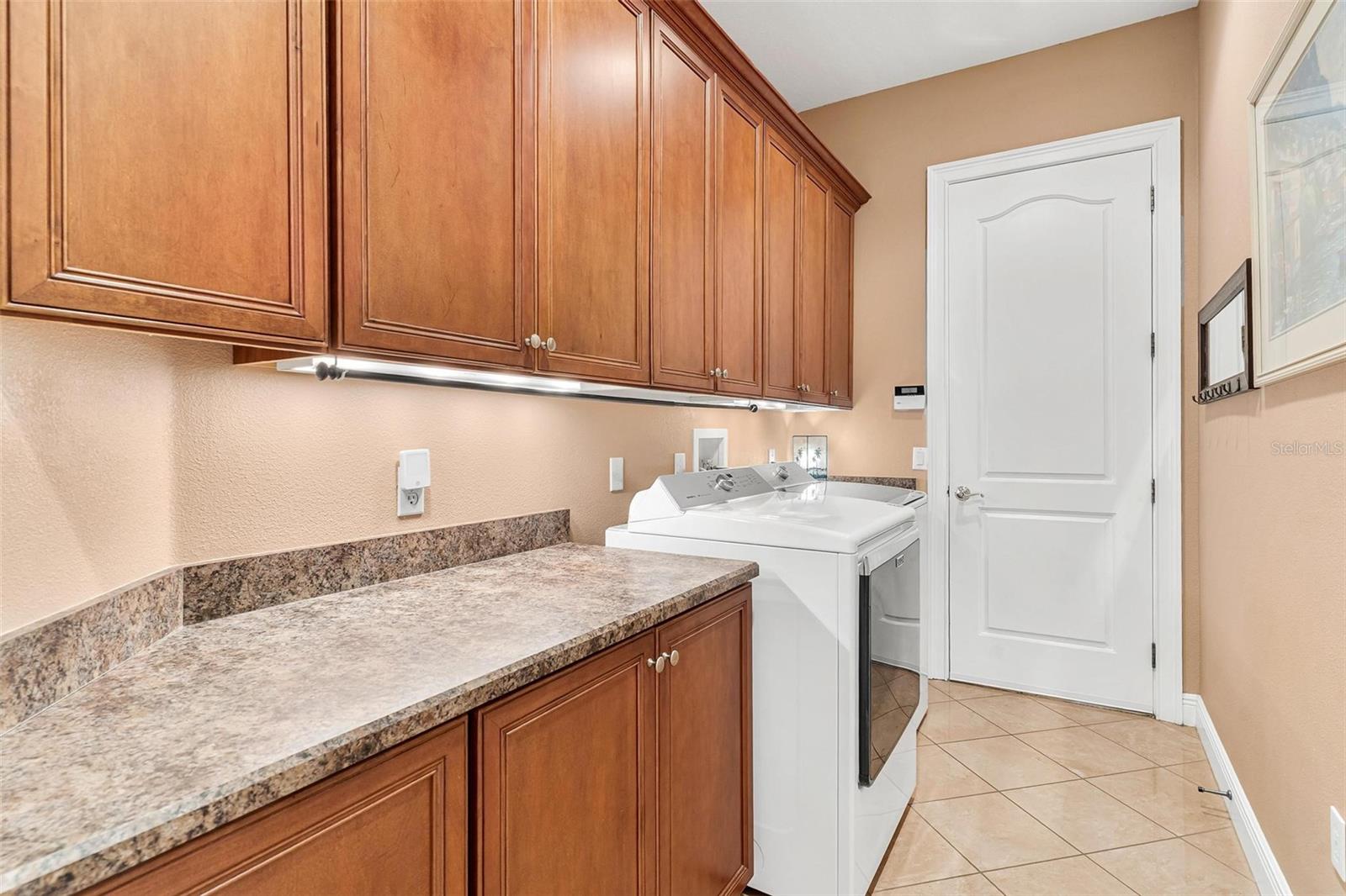 26309 SAN GABRIEL, HOWEY IN THE HILLS, FL — photo 89
