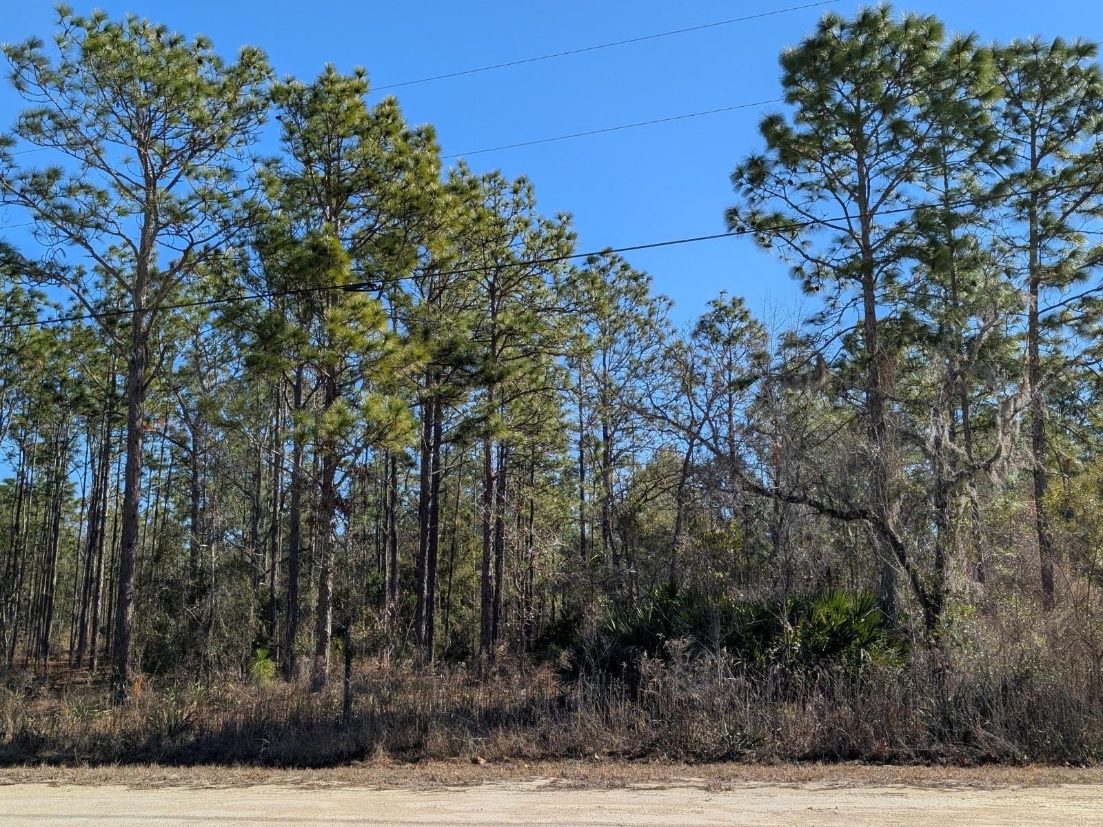 15252 COOT RD, BROOKSVILLE, FL — photo 4