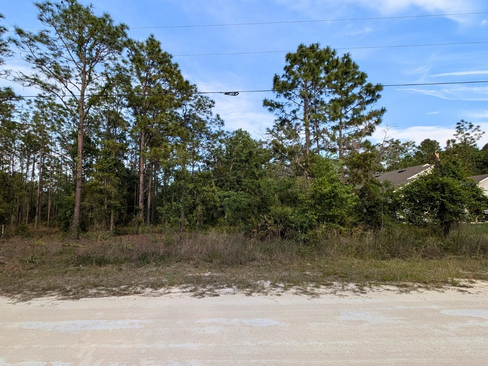 15252 COOT RD, BROOKSVILLE, FL — photo 3