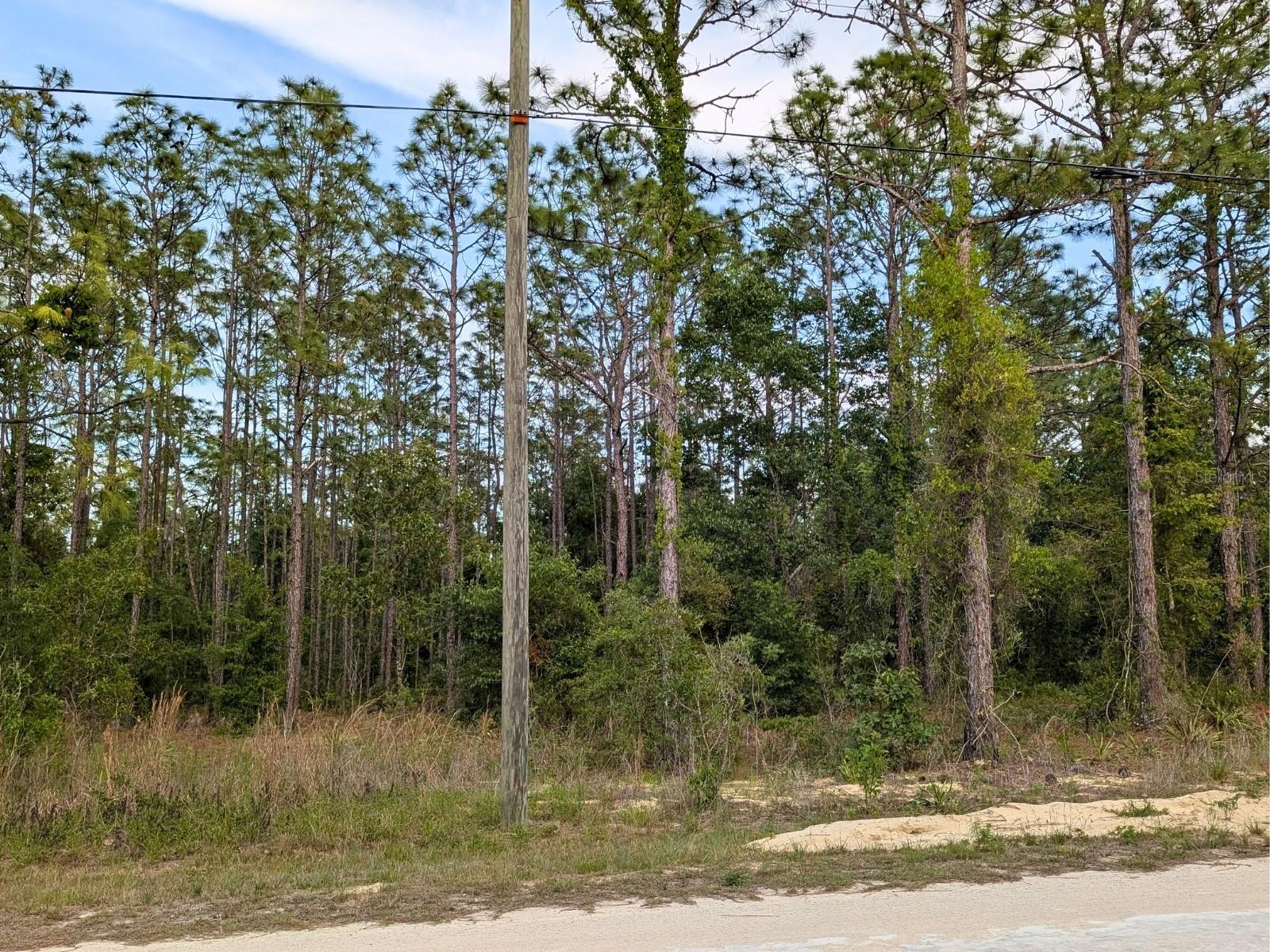 15252 COOT RD, BROOKSVILLE, FL — photo 8