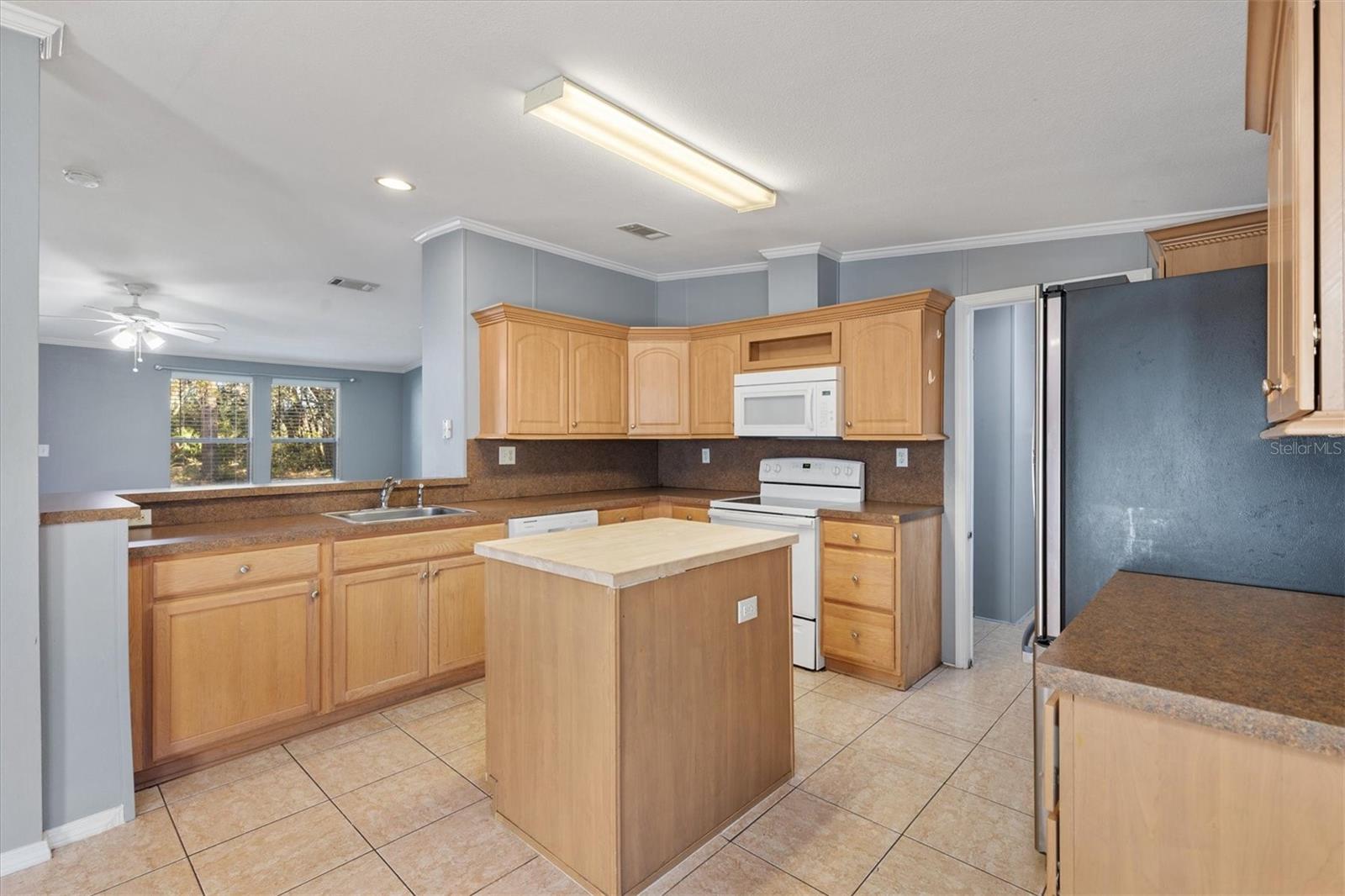 357 WALTERS PL, FRUITLAND PARK, FL — photo 19
