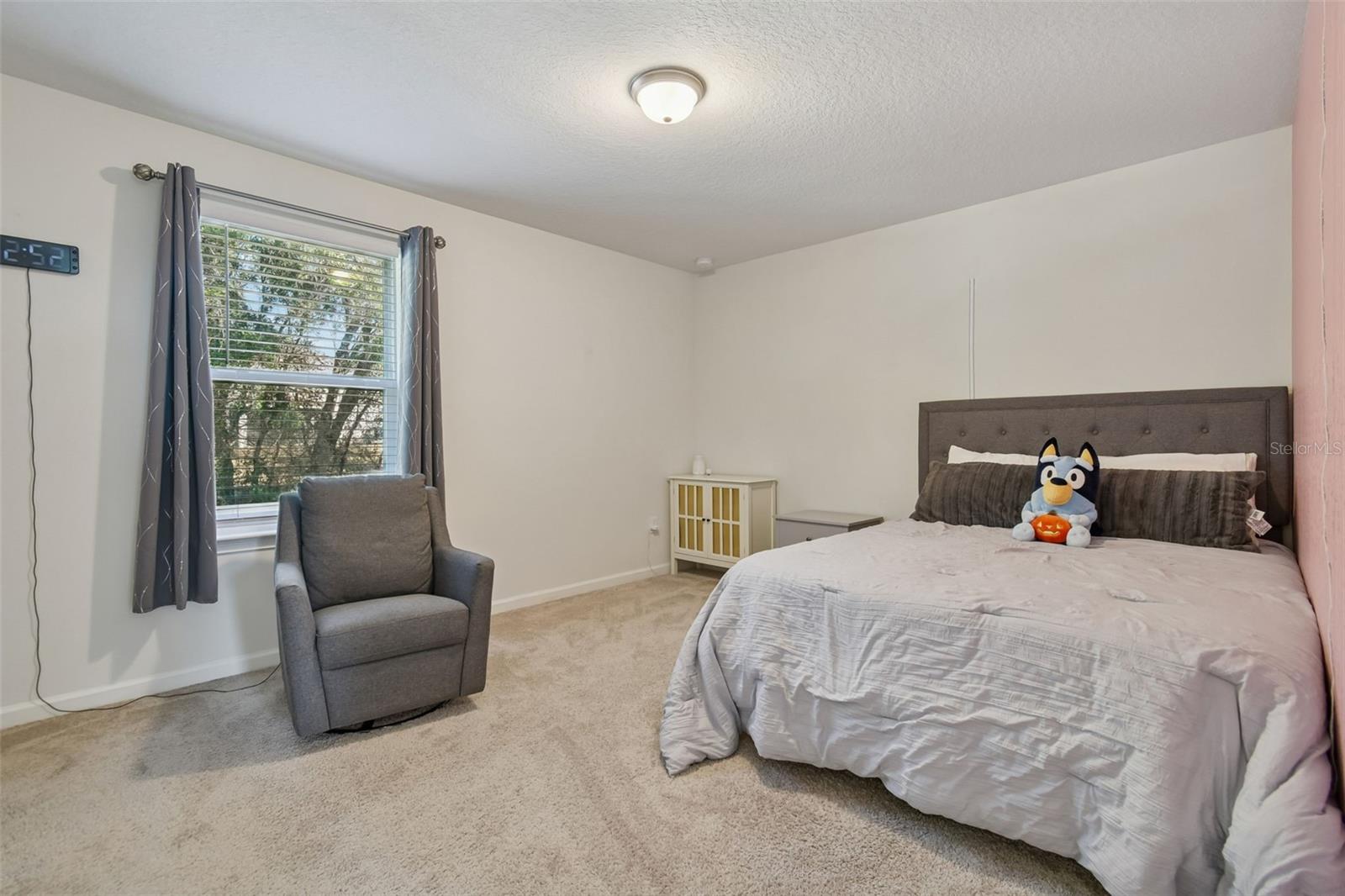 2604 VALLEY SUNSET LN, VALRICO, FL — photo 45