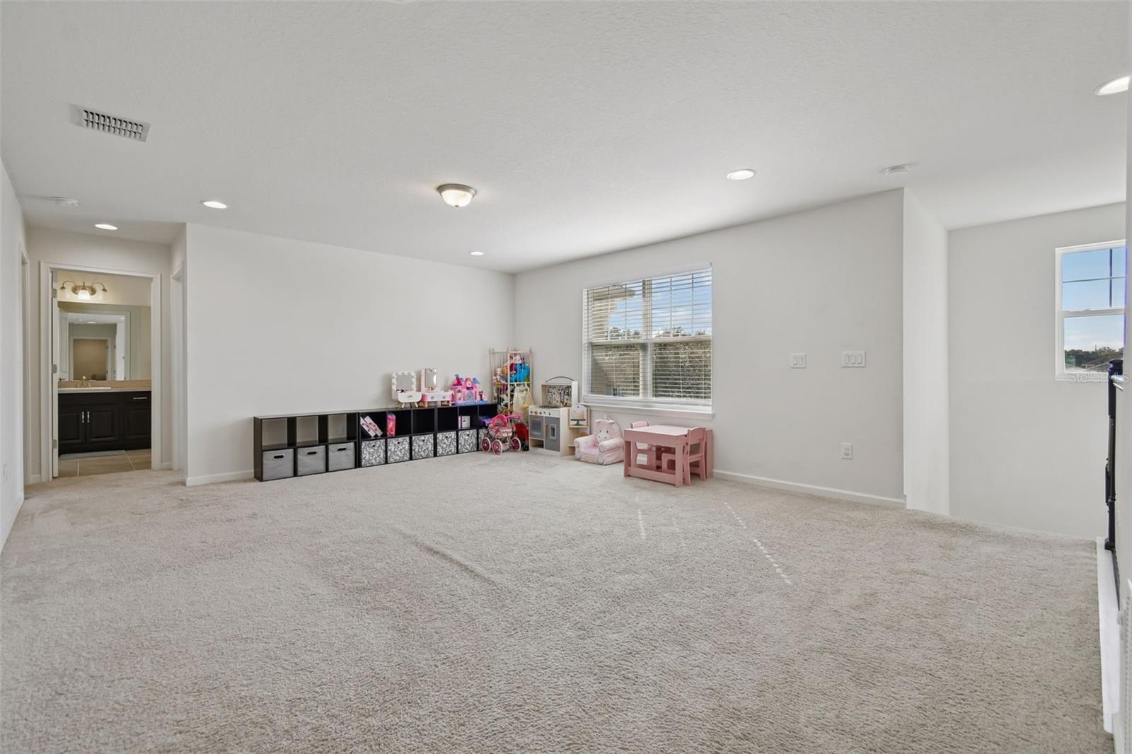 2604 VALLEY SUNSET LN, VALRICO, FL — photo 47