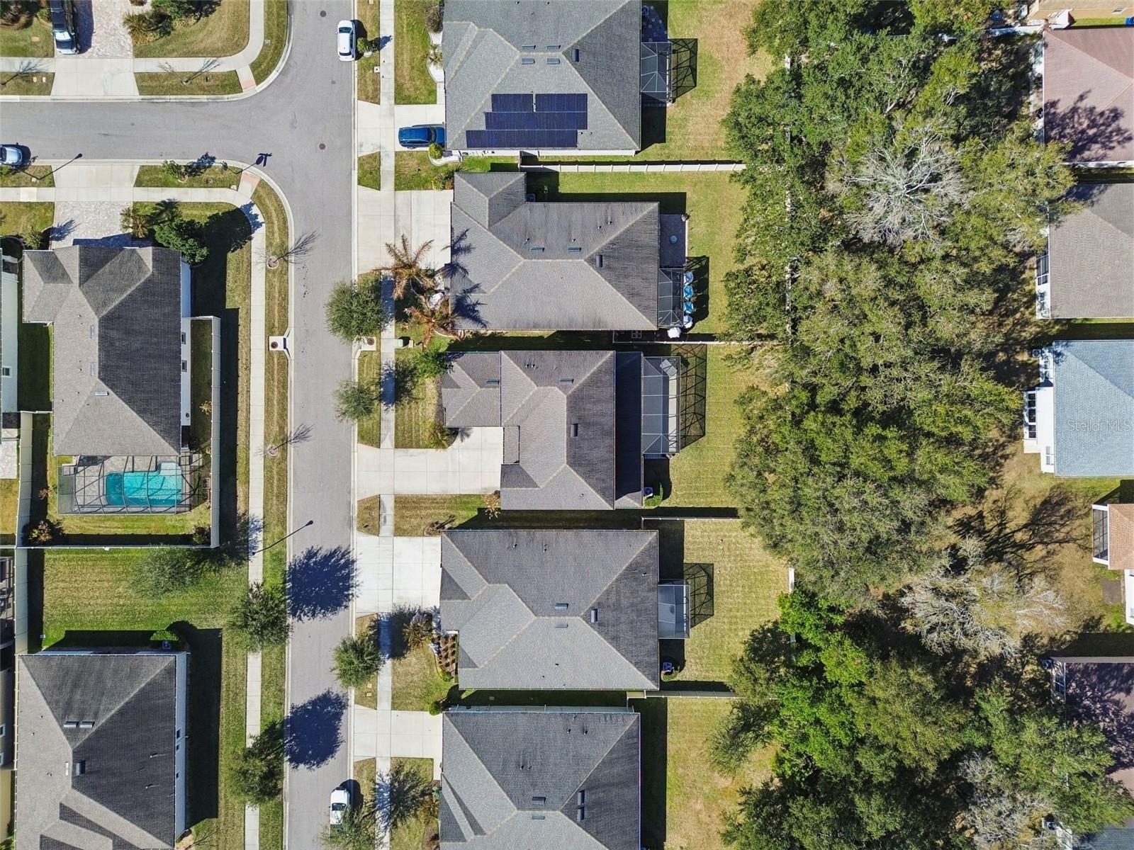 2604 VALLEY SUNSET LN, VALRICO, FL — photo 79