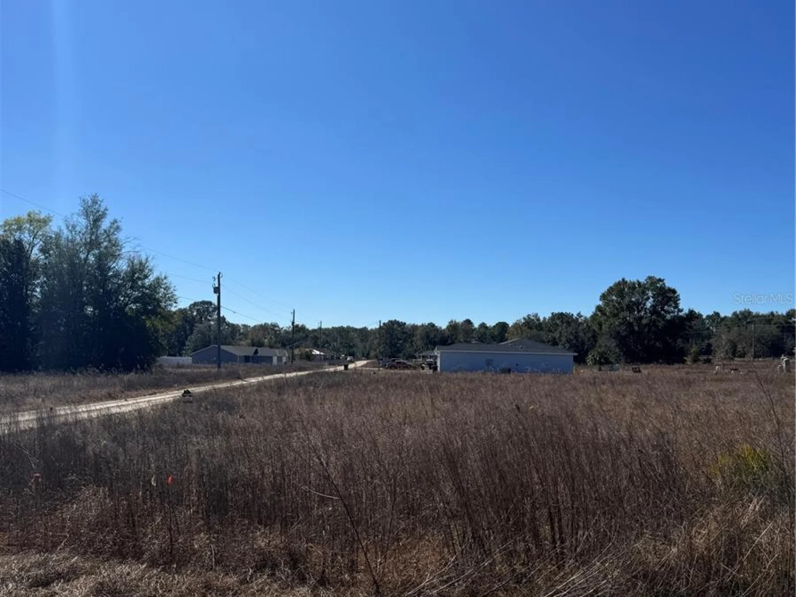 TBD SW 150TH CT, OCALA, FL — photo 4