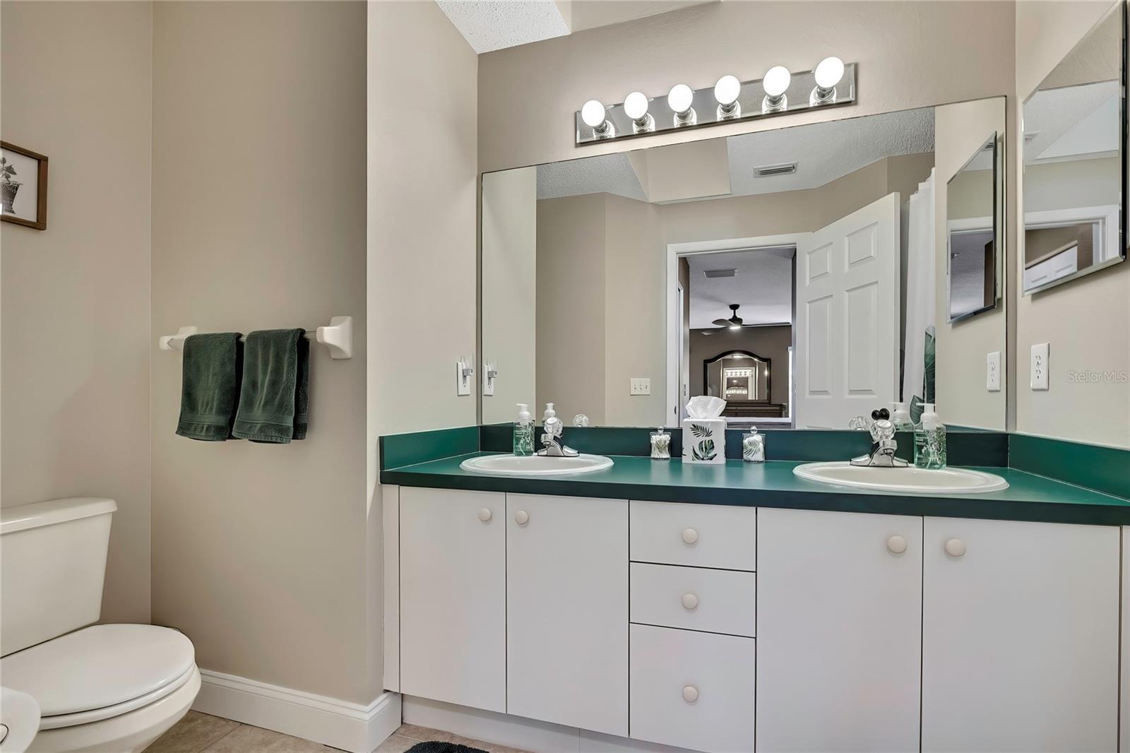 1424 PINEWOOD HILLS CT, SPRING HILL, FL — photo 56