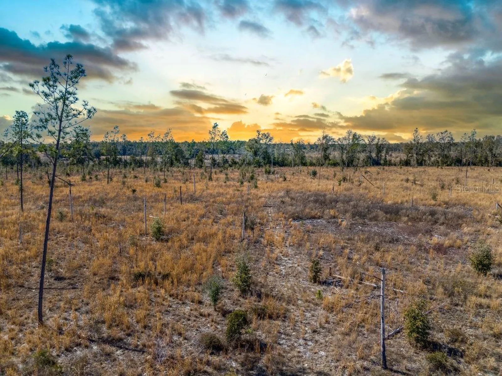 TBD 211TH CT, LIVE OAK, FL — photo 10