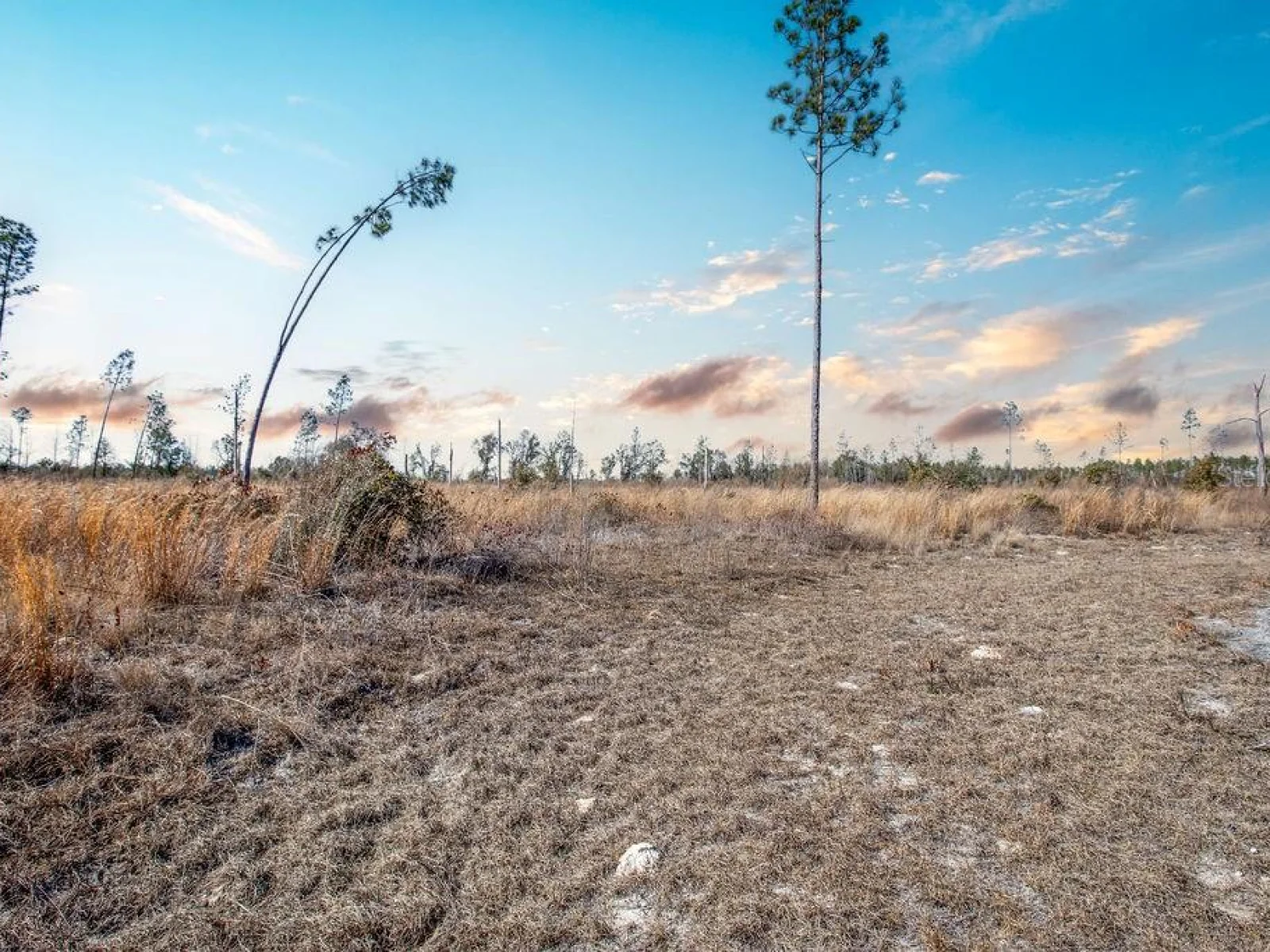 TBD 211TH CT, LIVE OAK, FL — photo 13
