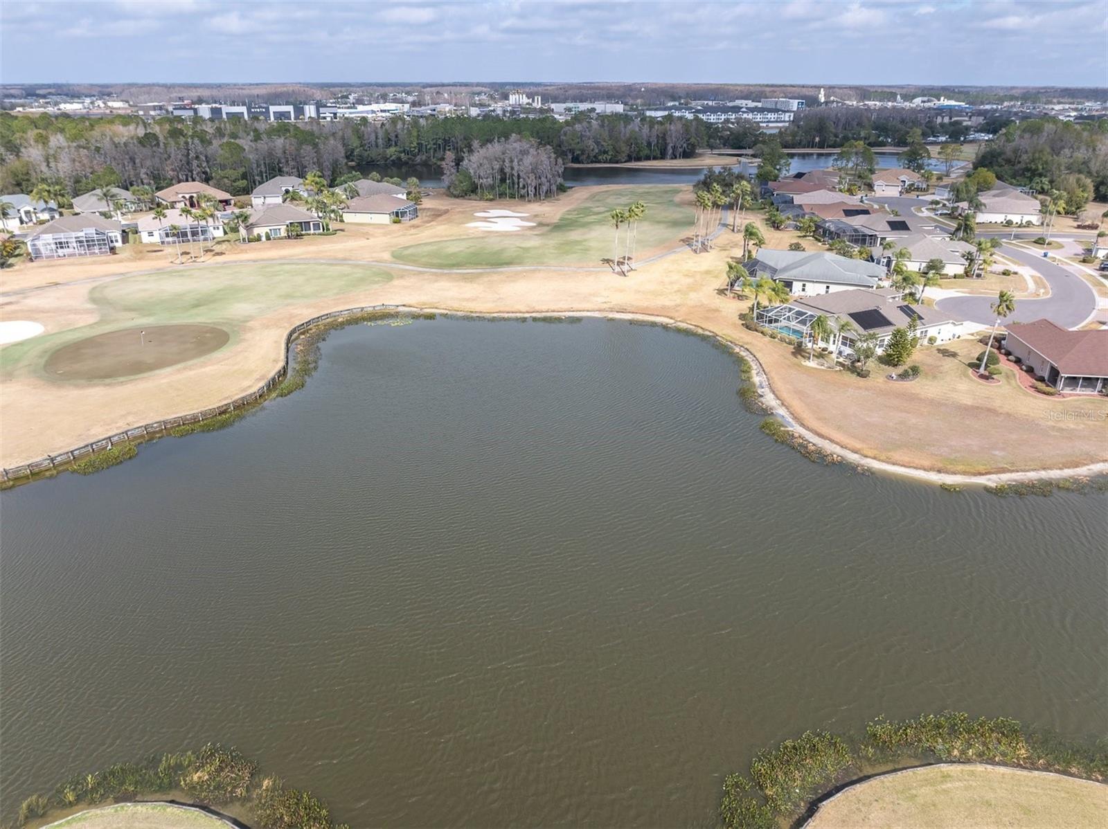 11429 HIDDEN COVE CT., TRINITY, FL — photo 35