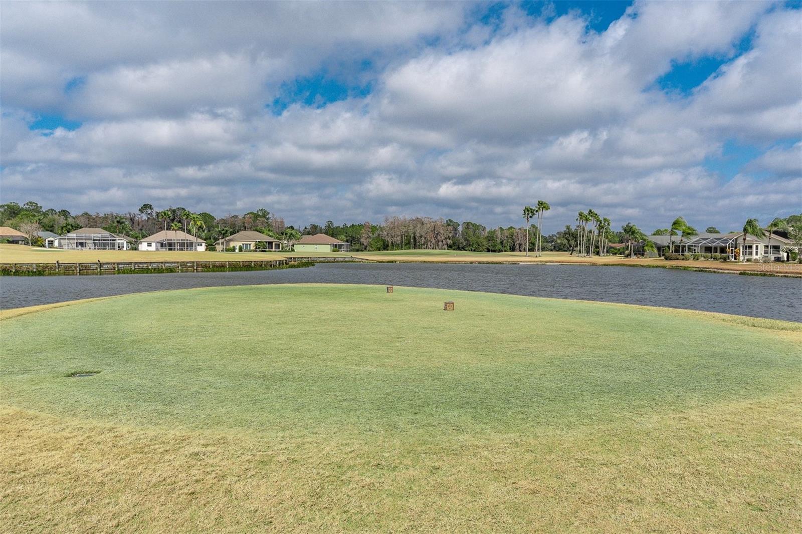 11429 HIDDEN COVE CT., TRINITY, FL — photo 39