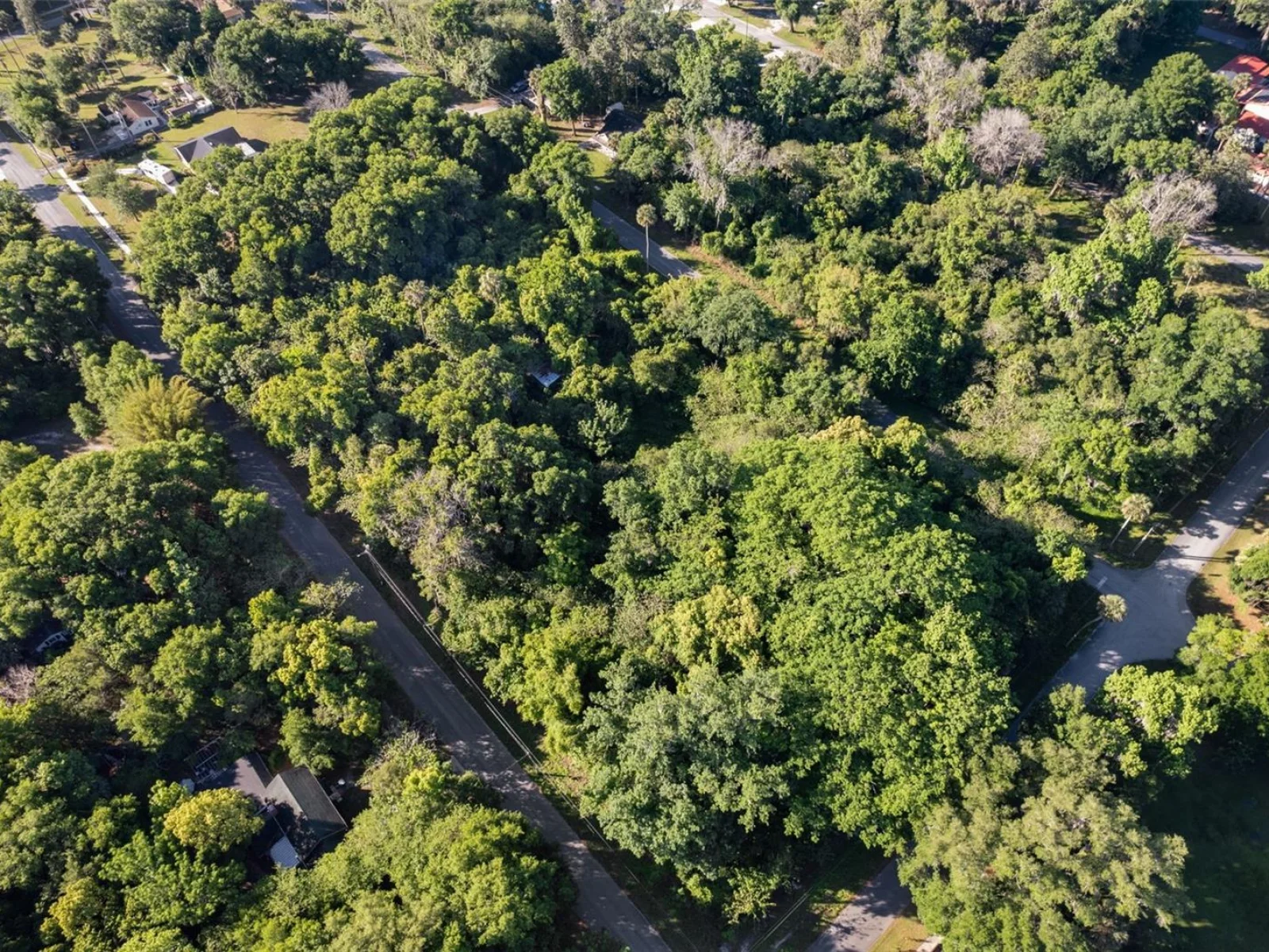 Lot 15 QUEBEC AVE, DE LEON SPRINGS, FL — photo 4