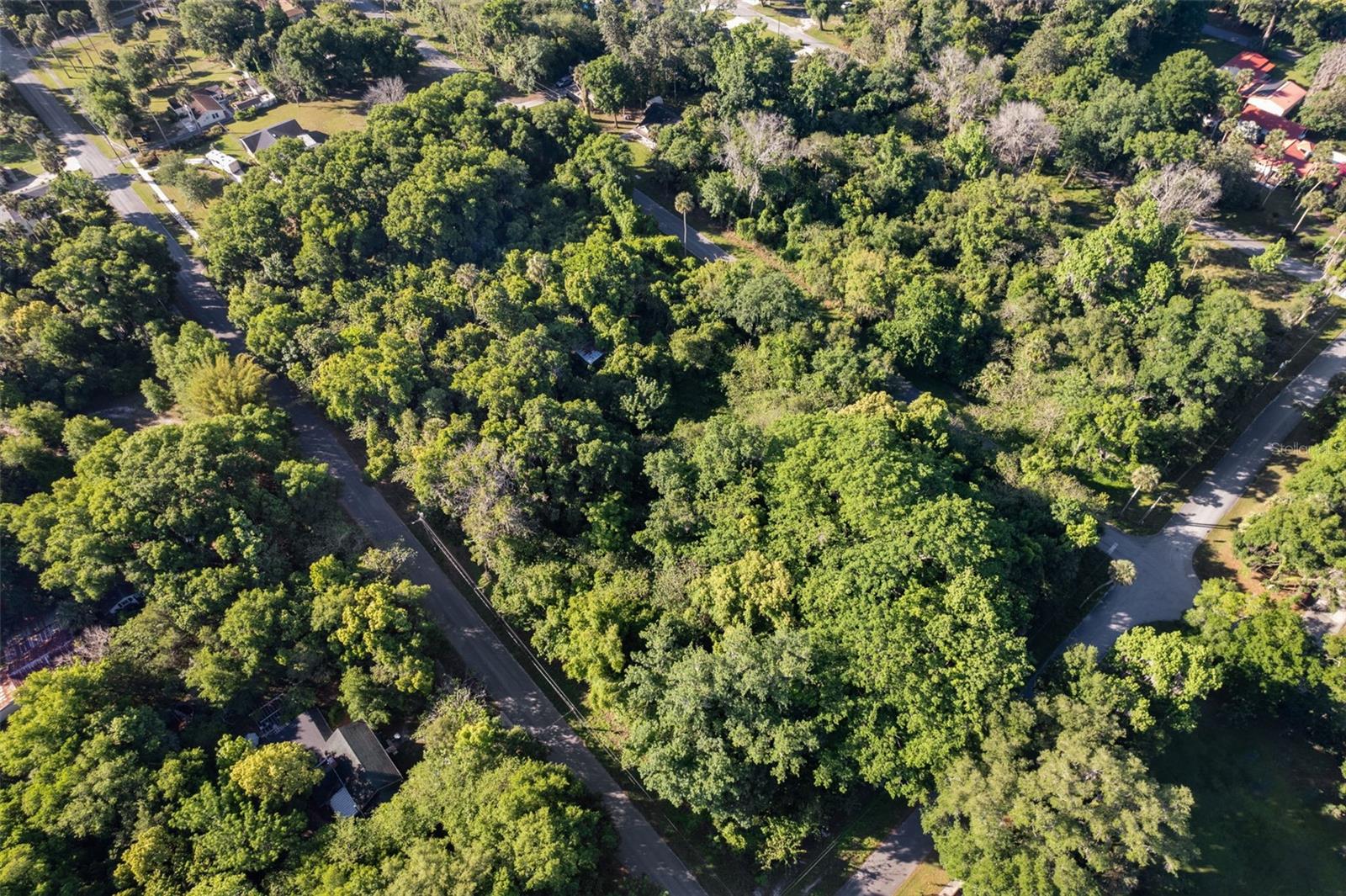 Lot 15 QUEBEC AVE, DE LEON SPRINGS, FL — photo 3