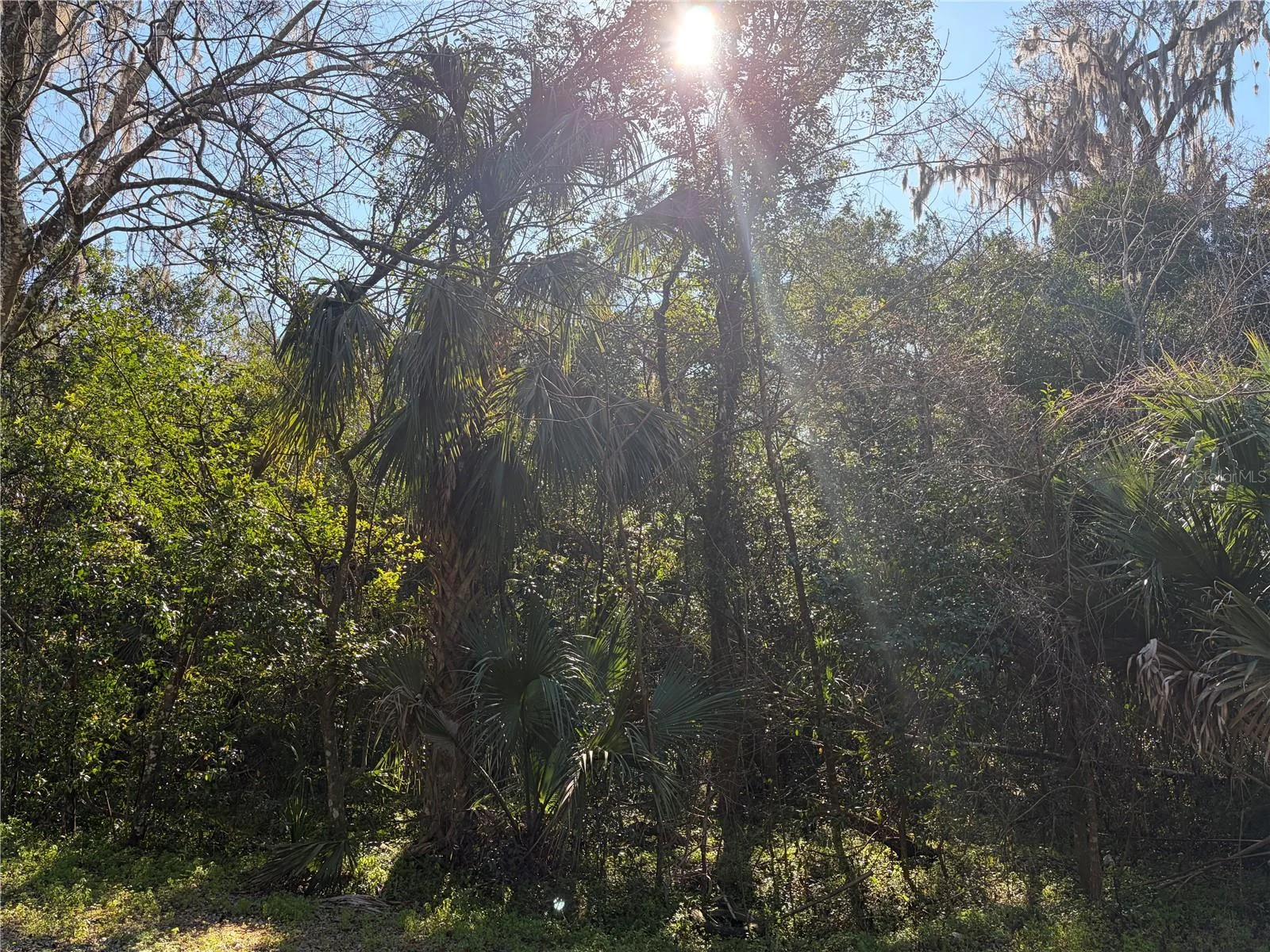 Lot 15 QUEBEC AVE, DE LEON SPRINGS, FL — photo 6
