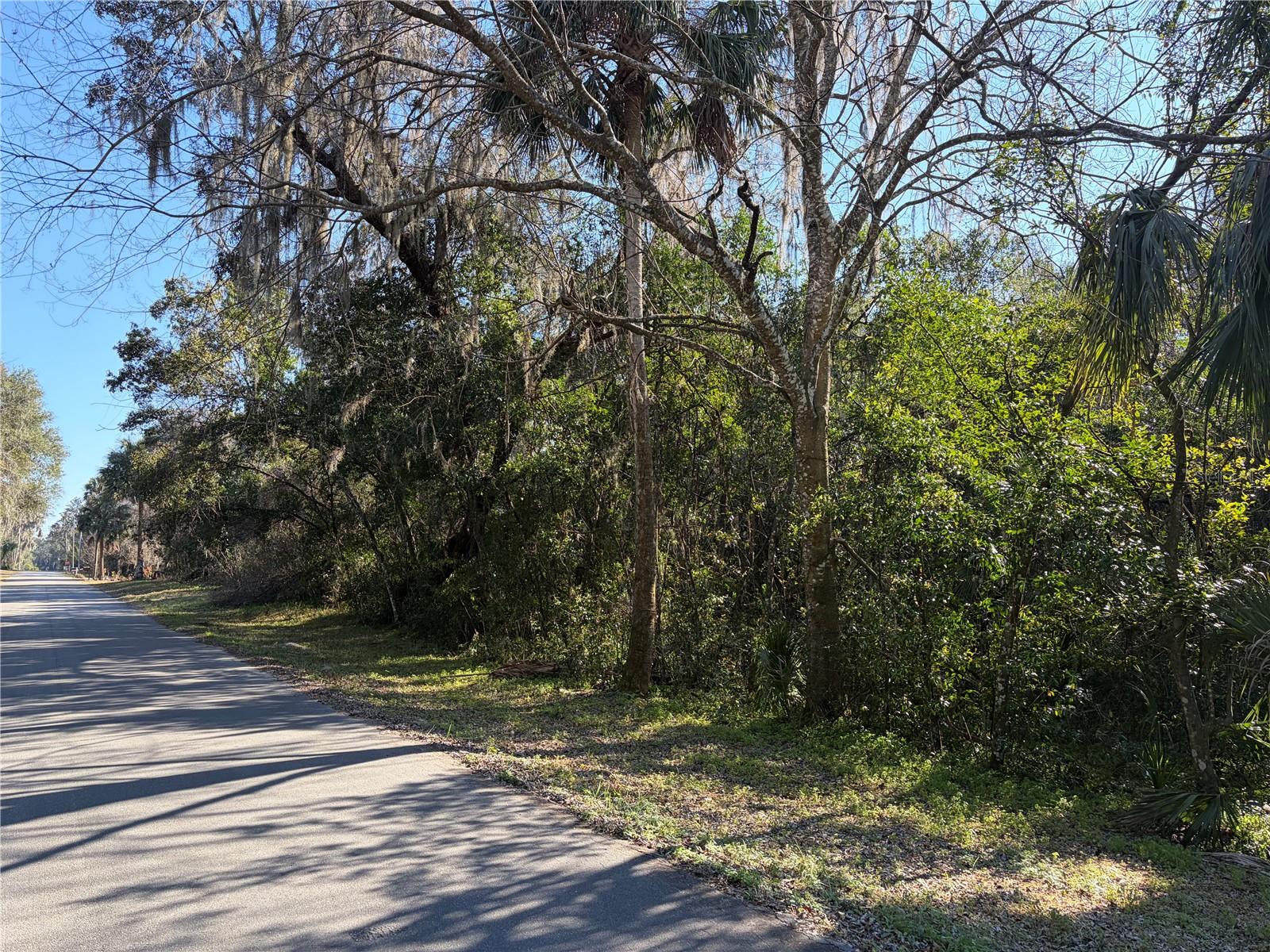 Lot 15 QUEBEC AVE, DE LEON SPRINGS, FL — photo 8