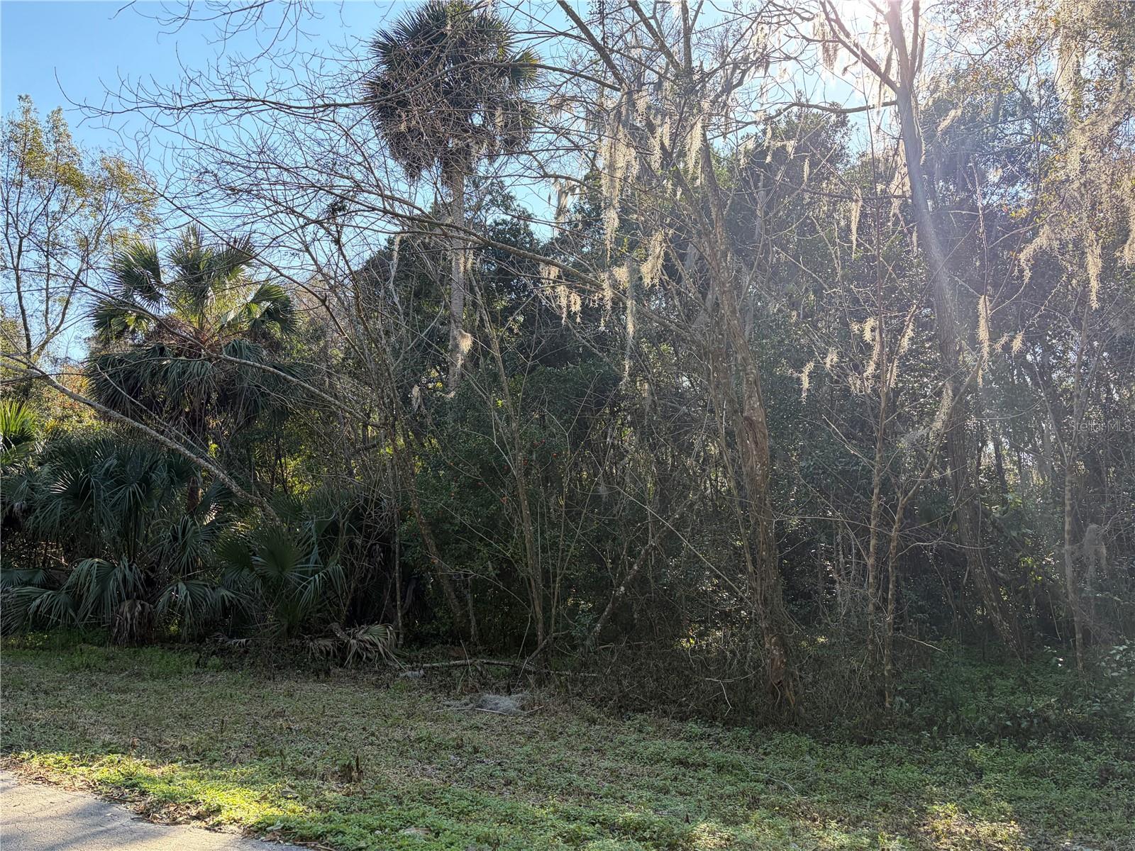 Lot 15 QUEBEC AVE, DE LEON SPRINGS, FL — photo 9