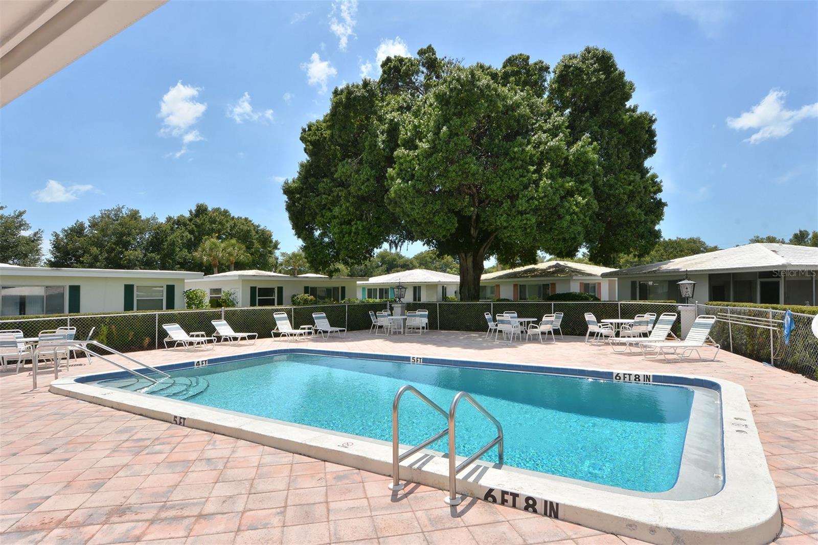 1809 VERA PL #8, SARASOTA, FL — photo 37