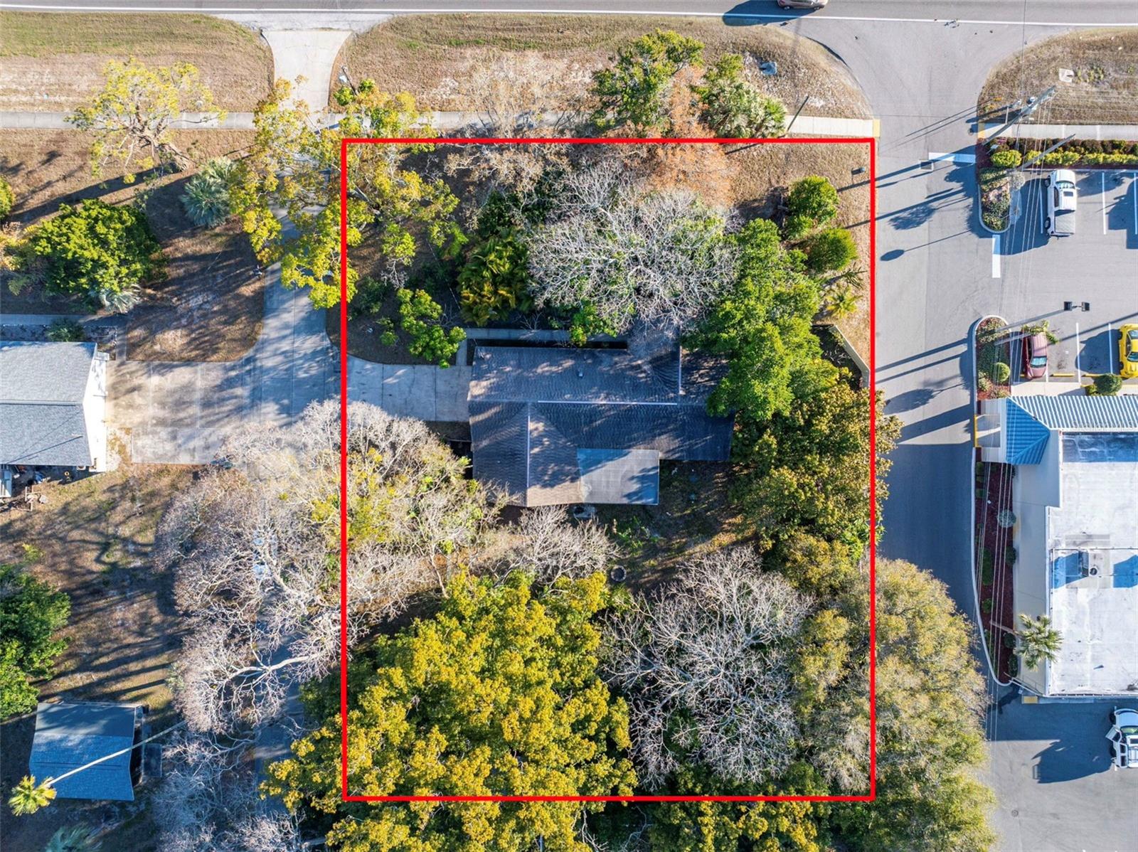 1546 BELLEAIR RD, CLEARWATER, FL — photo 8