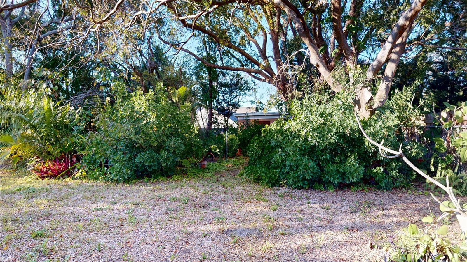 1546 BELLEAIR RD, CLEARWATER, FL — photo 41