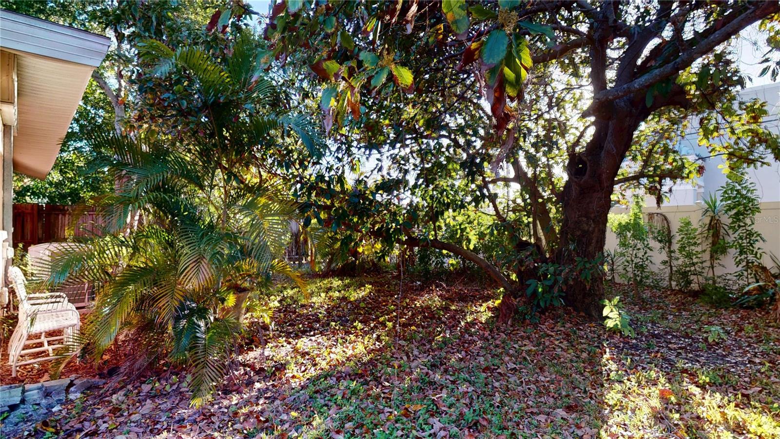 1546 BELLEAIR RD, CLEARWATER, FL — photo 43