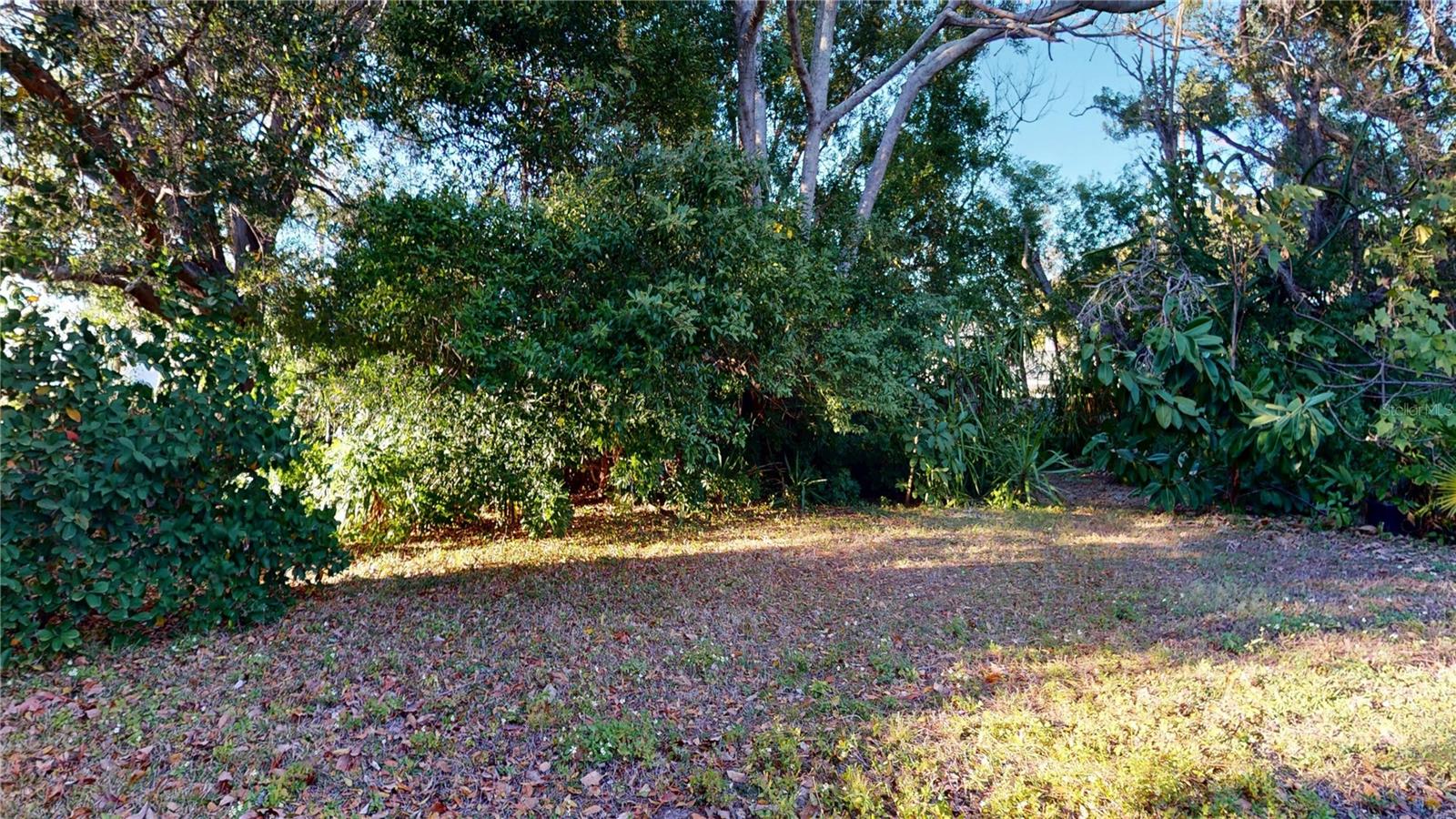 1546 BELLEAIR RD, CLEARWATER, FL — photo 44