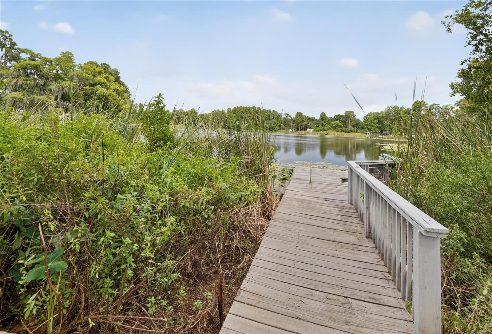 5028 SCHOOL RD, LAND O LAKES, FL — photo 38