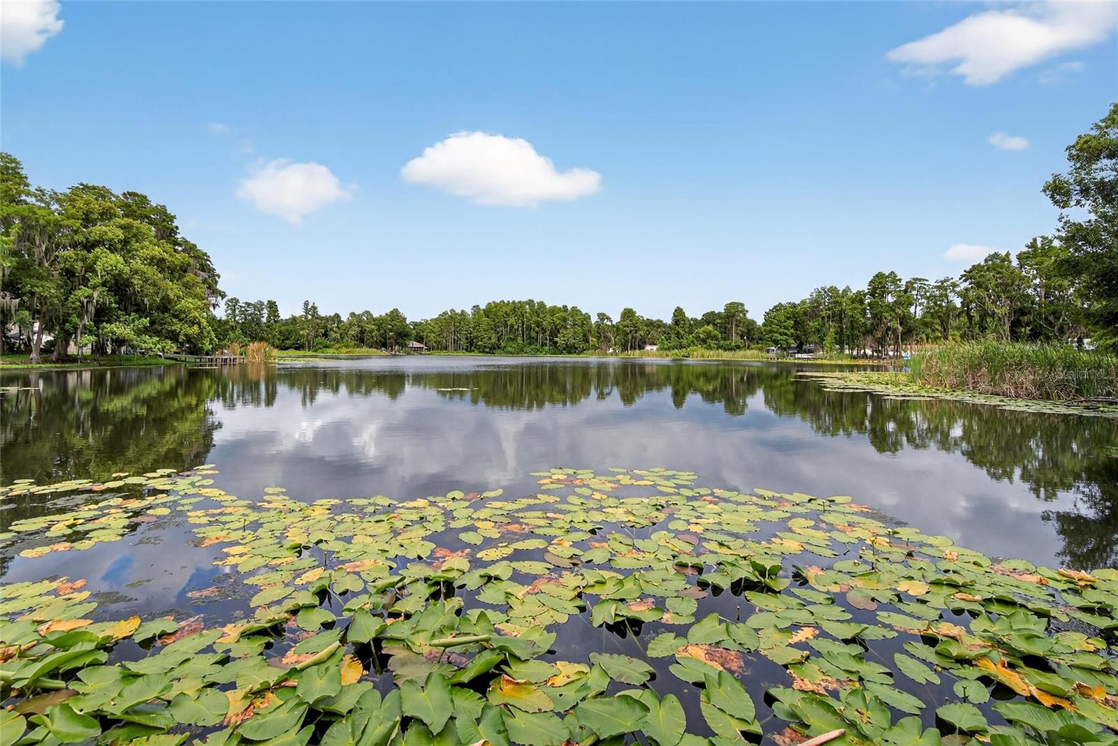 5028 SCHOOL RD, LAND O LAKES, FL — photo 39