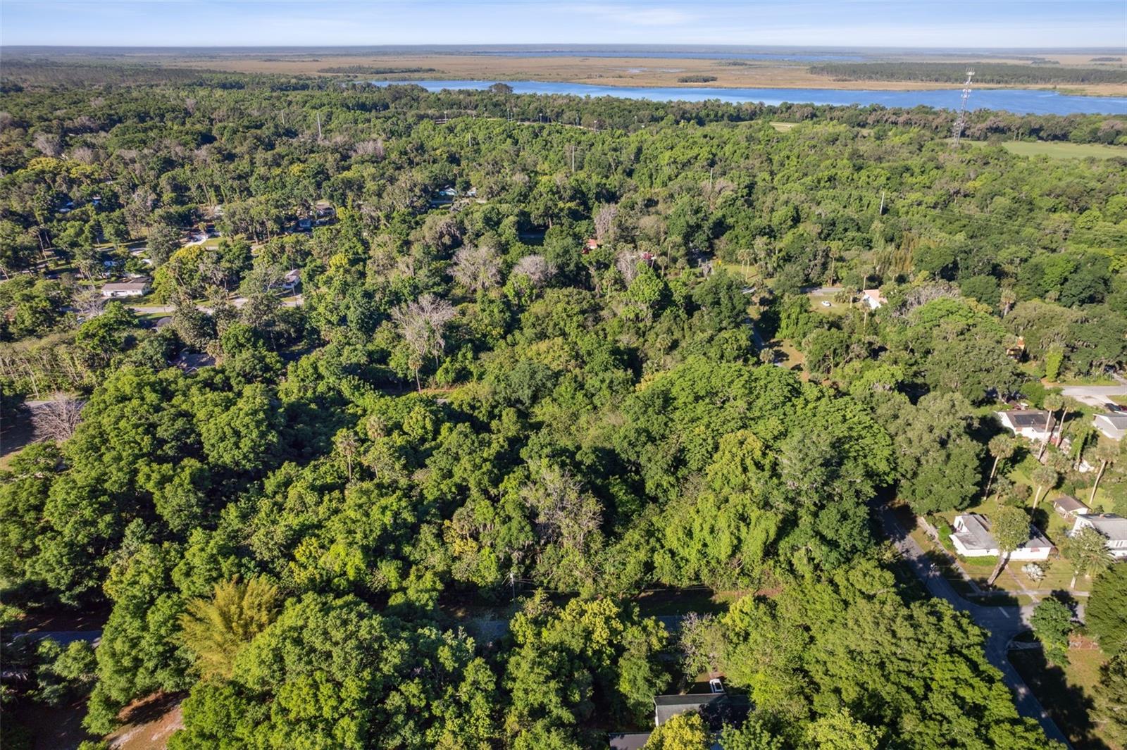 Lot 16 QUEBEC AVE, DE LEON SPRINGS, FL — photo 2