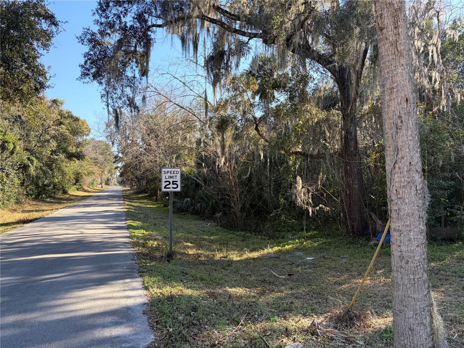 Lot 16 QUEBEC AVE, DE LEON SPRINGS, FL — photo 4