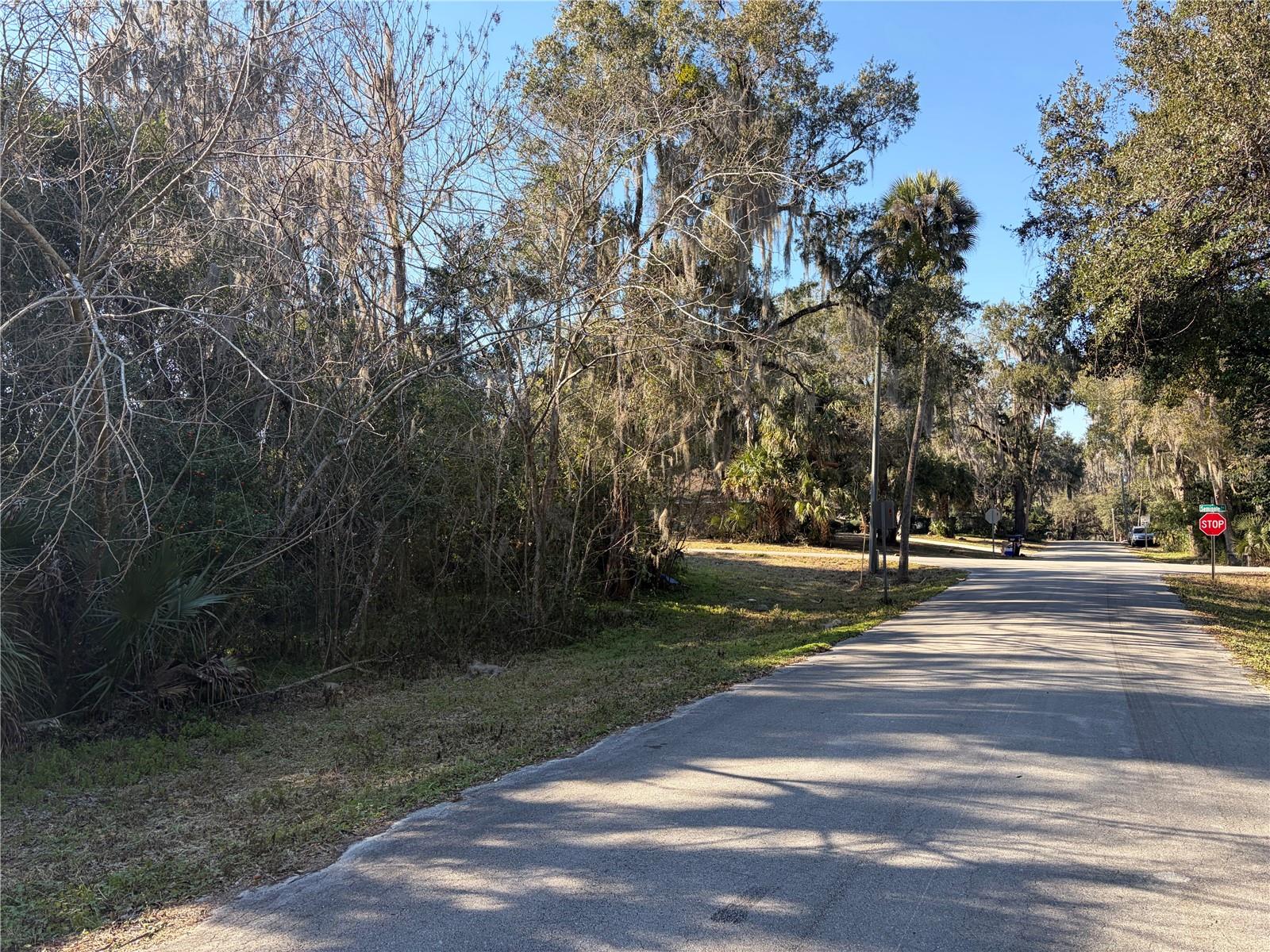 Lot 16 QUEBEC AVE, DE LEON SPRINGS, FL — photo 5