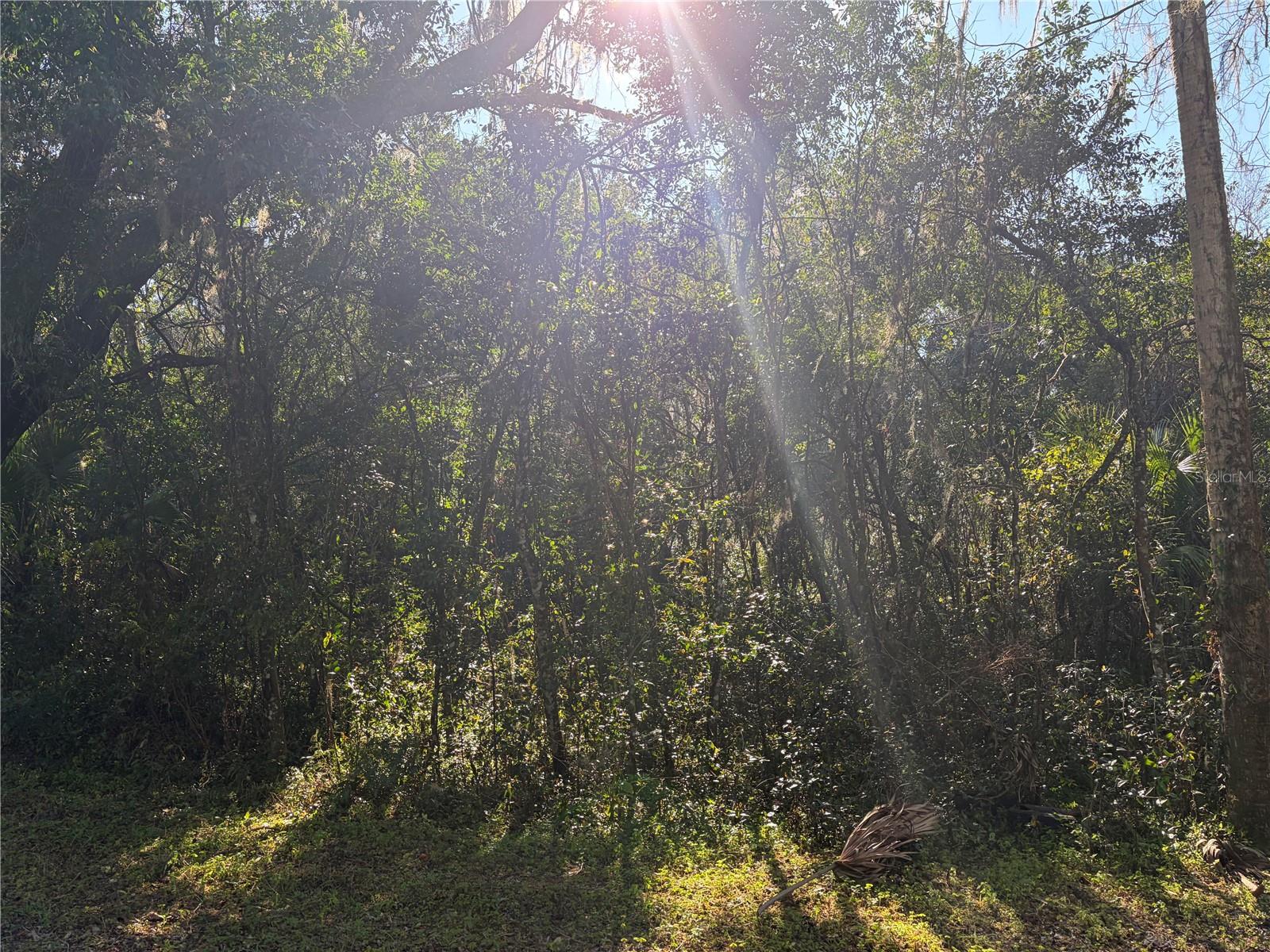 Lot 16 QUEBEC AVE, DE LEON SPRINGS, FL — photo 6