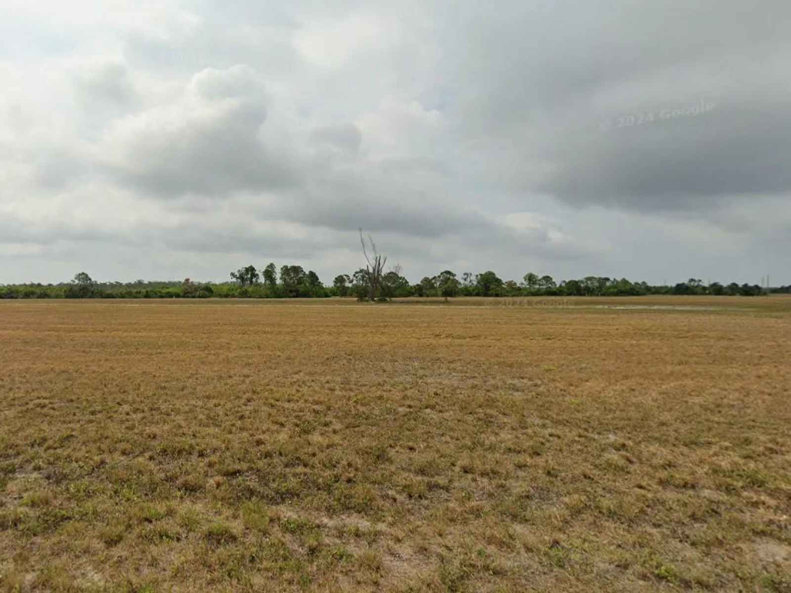 12252 TRIPLETAIL DR, PLACIDA, FL — photo 1