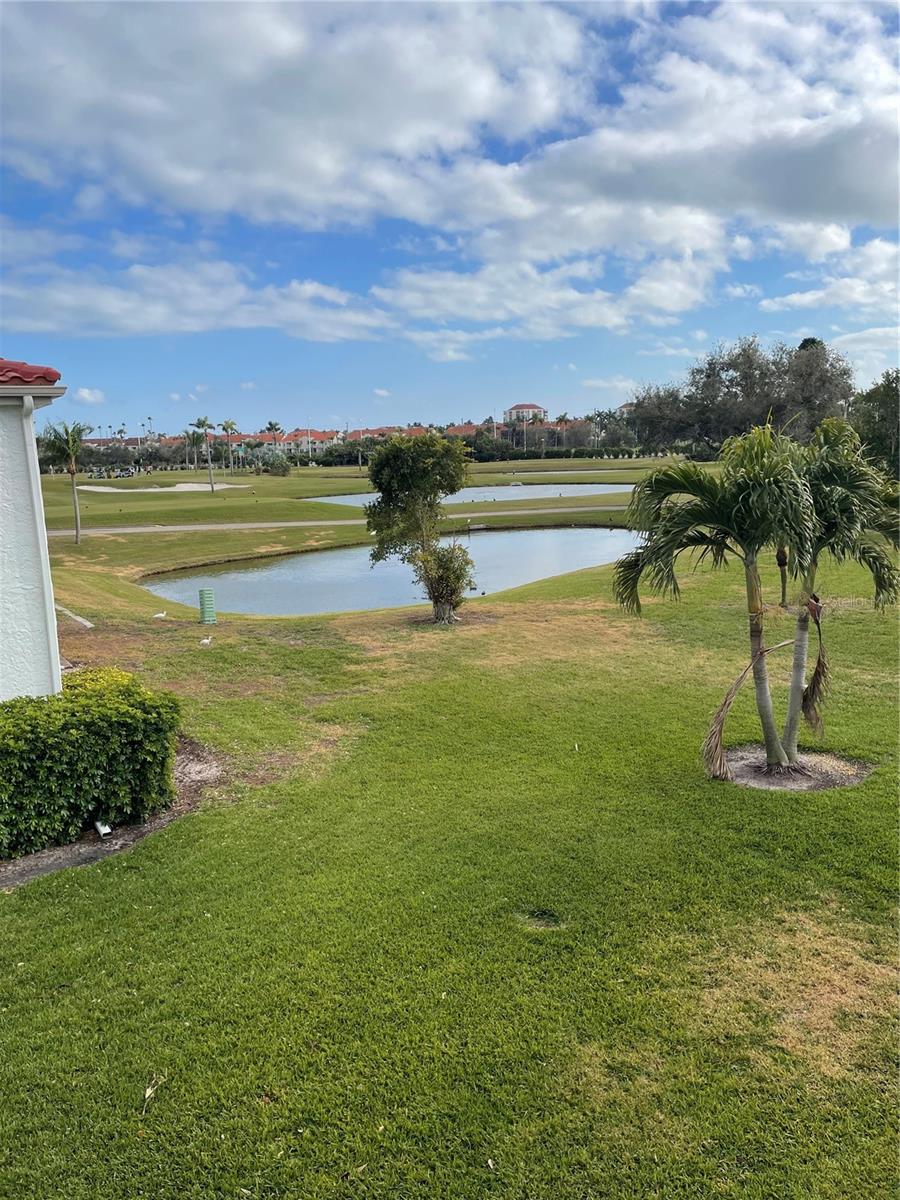 6260 SUN BLVD #1, ST PETERSBURG, FL — photo 5