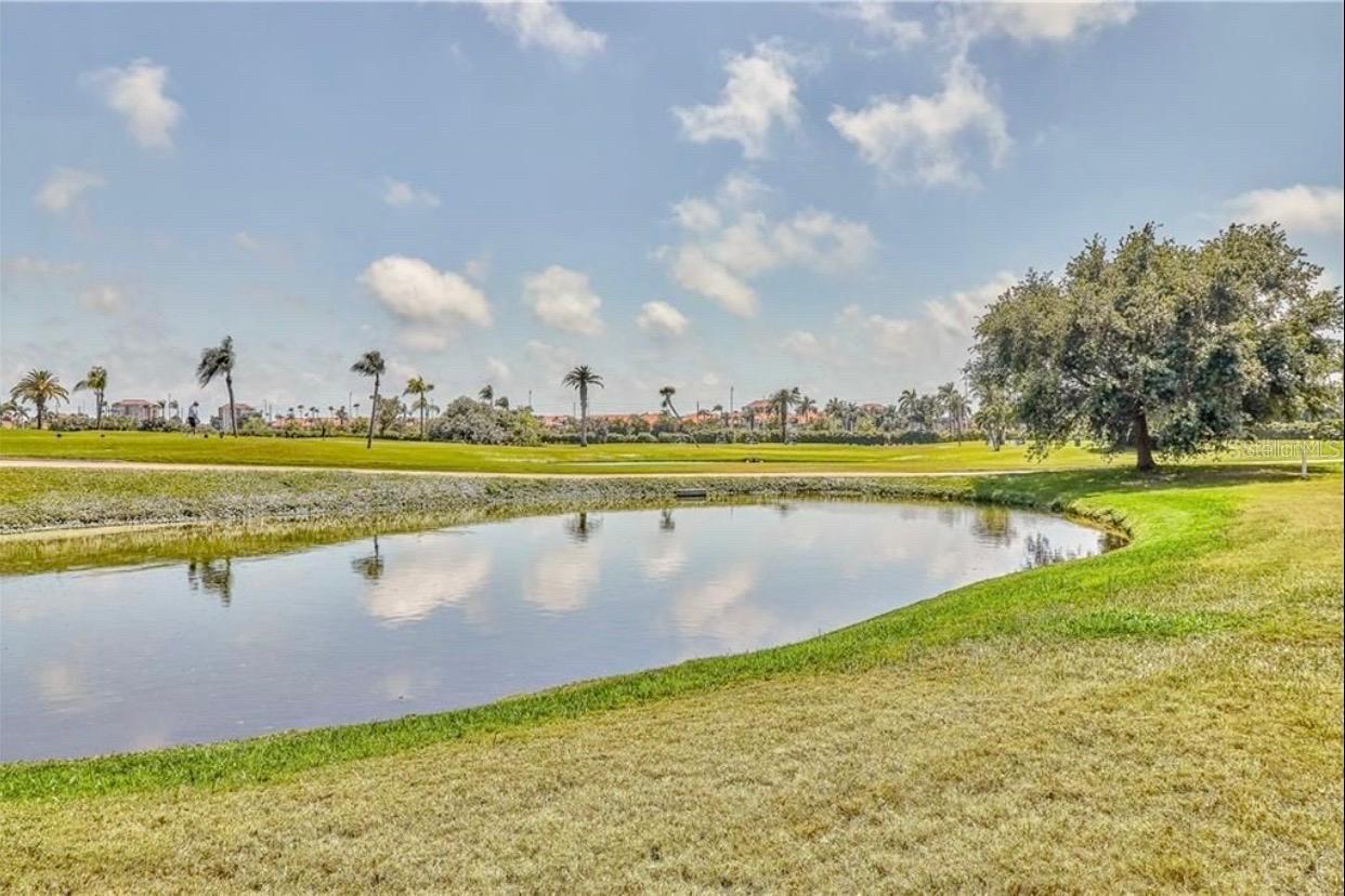 6260 SUN BLVD #1, ST PETERSBURG, FL — photo 59
