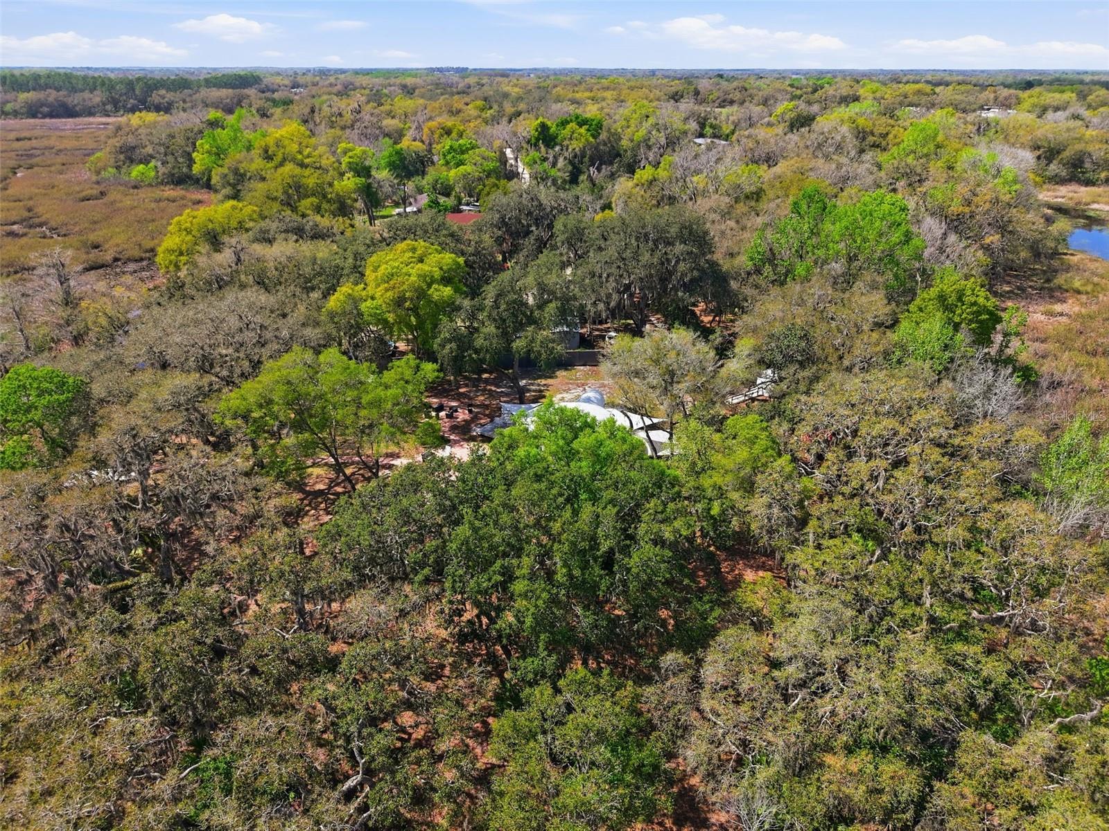 7570 E RINGER CT, INVERNESS, FL — photo 33