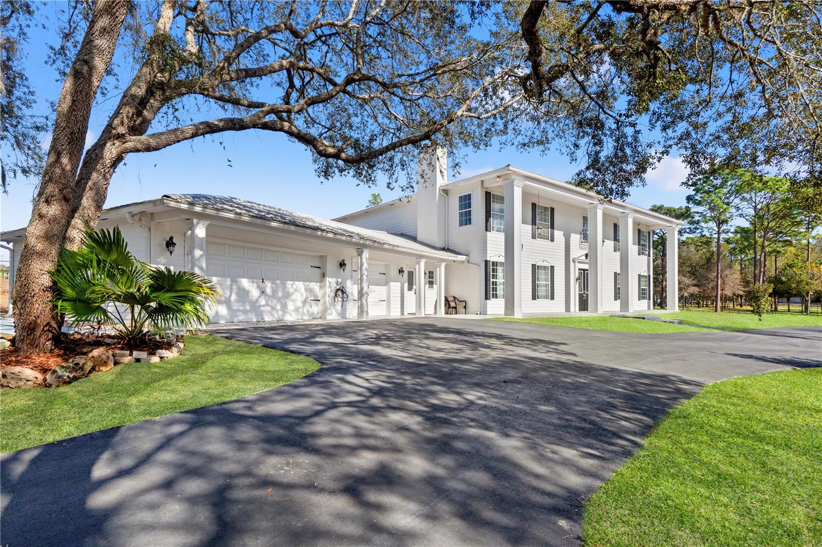 14485 SWITCH BACK RD, SPRING HILL, FL — photo 49