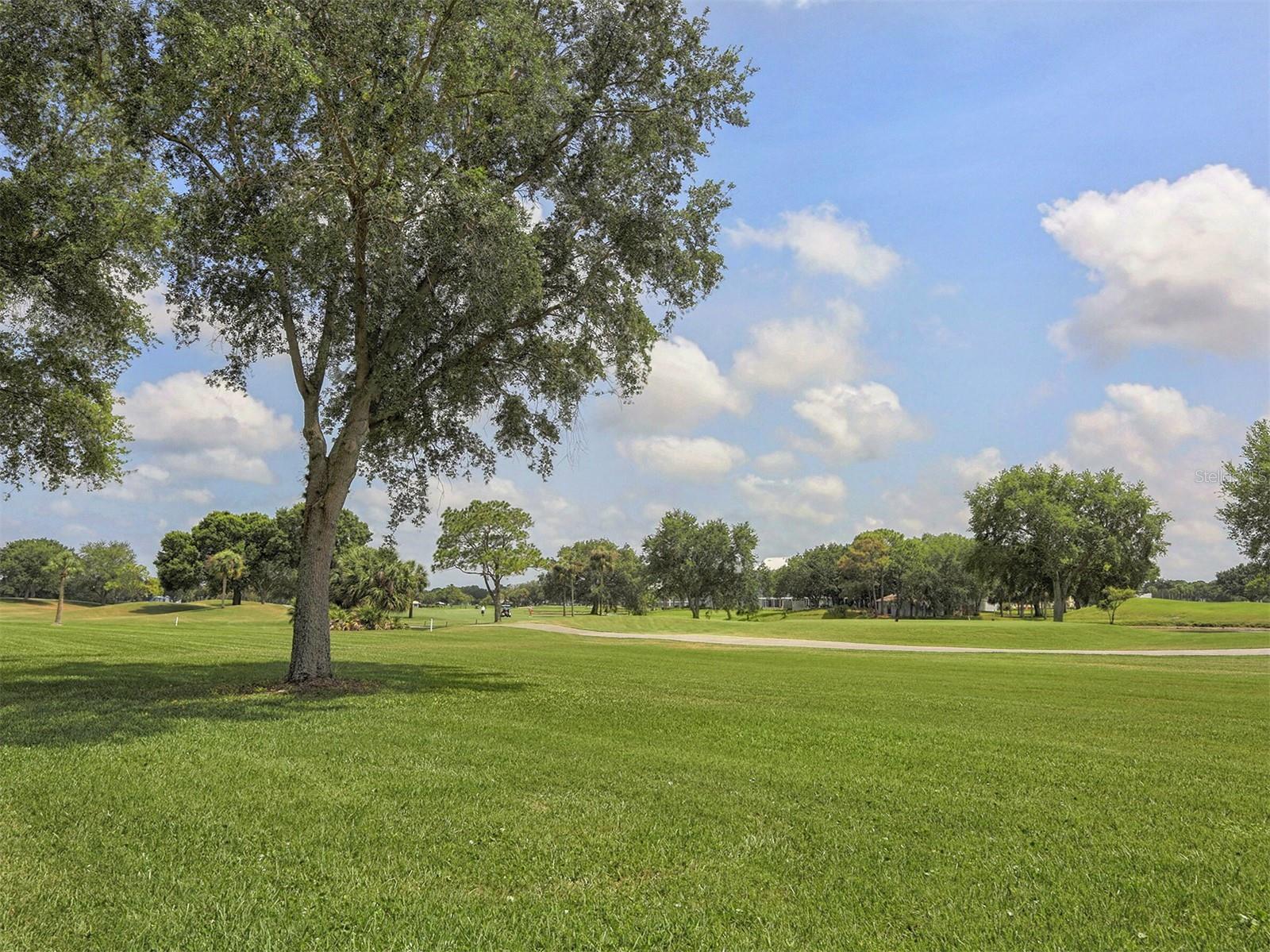 818 WEXFORD BLVD #818, VENICE, FL — photo 24