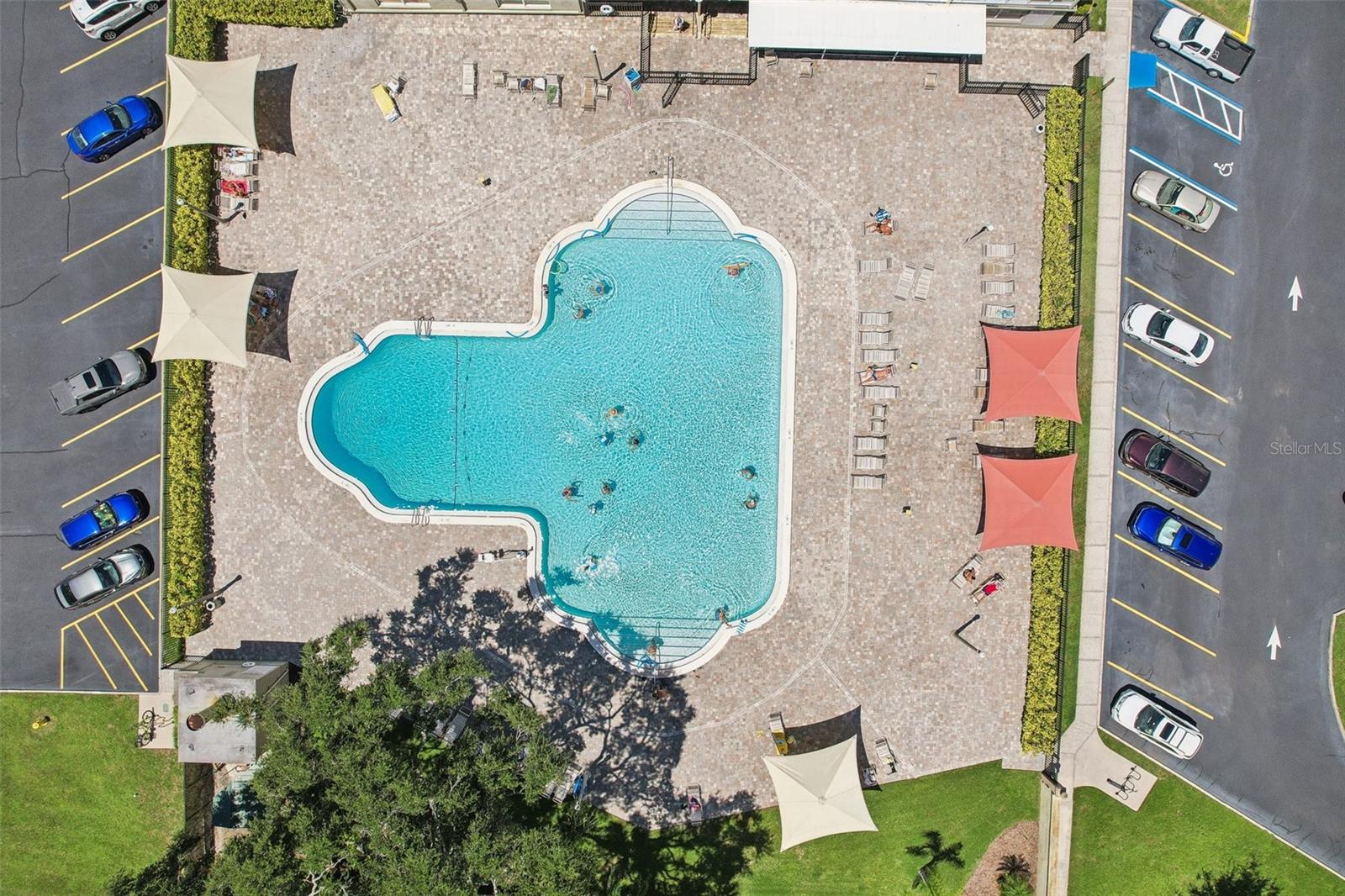 2430 BRAZILIA DR #24, CLEARWATER, FL — photo 42