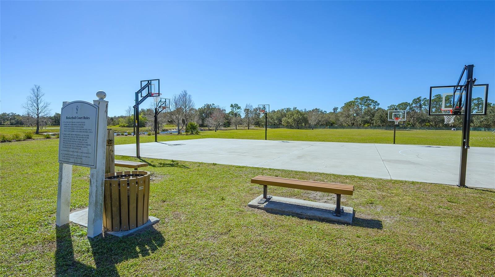 6433 BLUE GROSBEAK CIR, LAKEWOOD RANCH, FL — photo 53