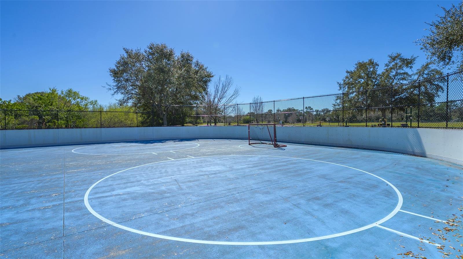6433 BLUE GROSBEAK CIR, LAKEWOOD RANCH, FL — photo 56