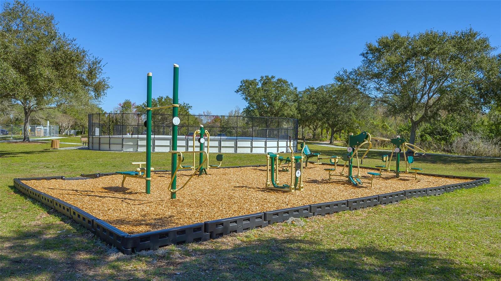6433 BLUE GROSBEAK CIR, LAKEWOOD RANCH, FL — photo 57