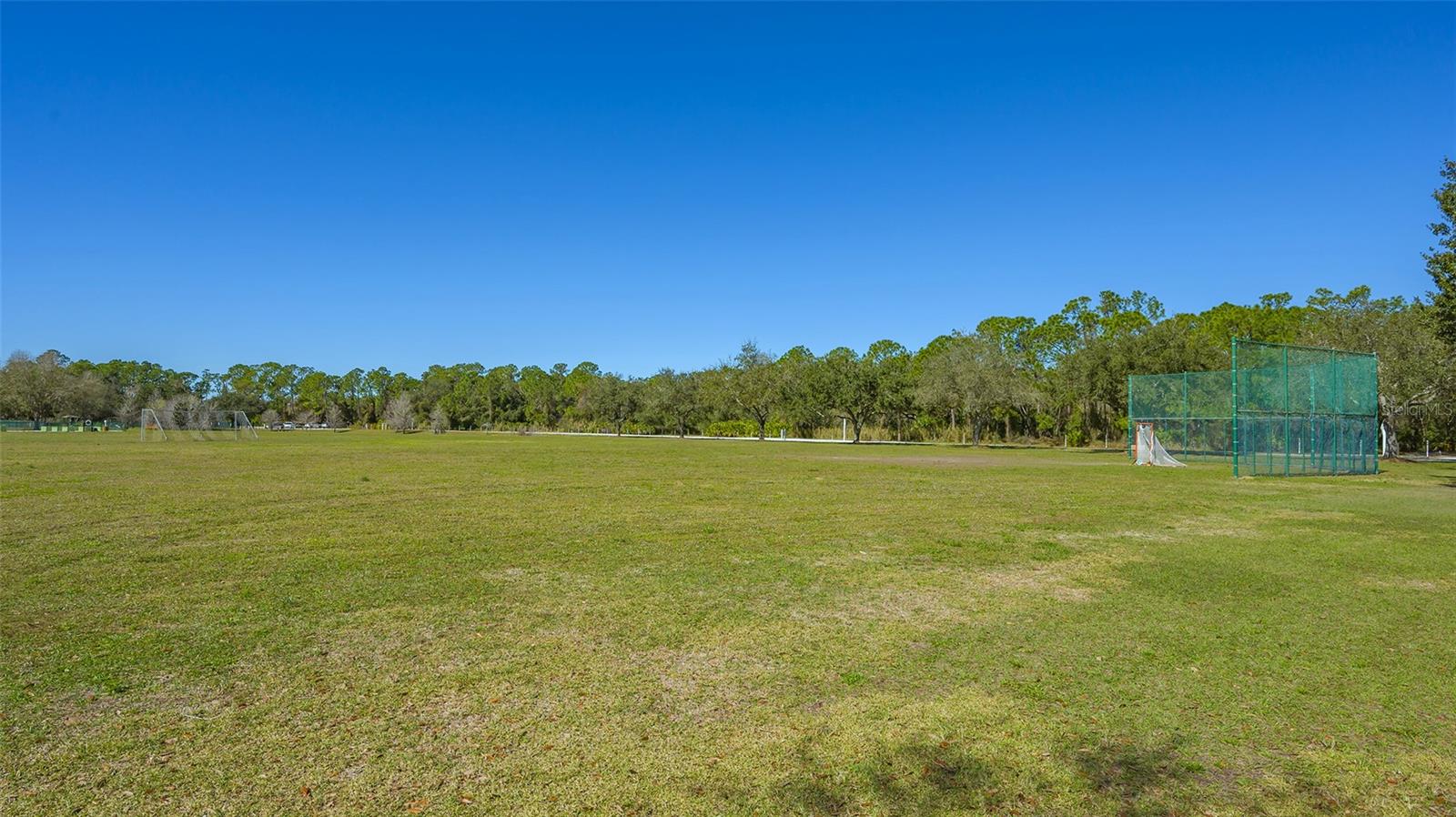 6433 BLUE GROSBEAK CIR, LAKEWOOD RANCH, FL — photo 59